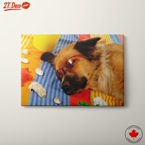 Relaxed Dog in Sunglasses on Colorful Towel