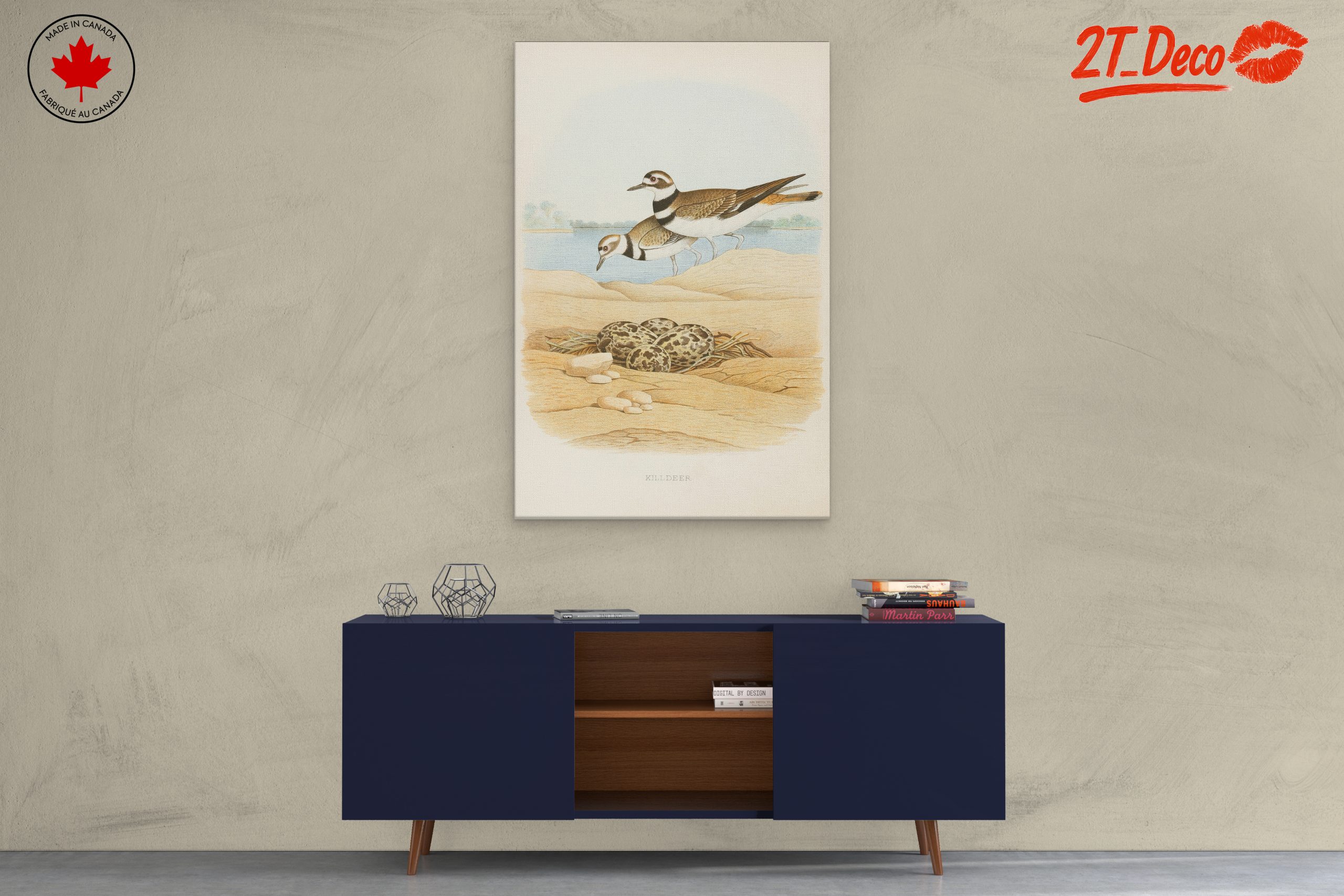 Killdeer Birds Nesting Art - Image 3