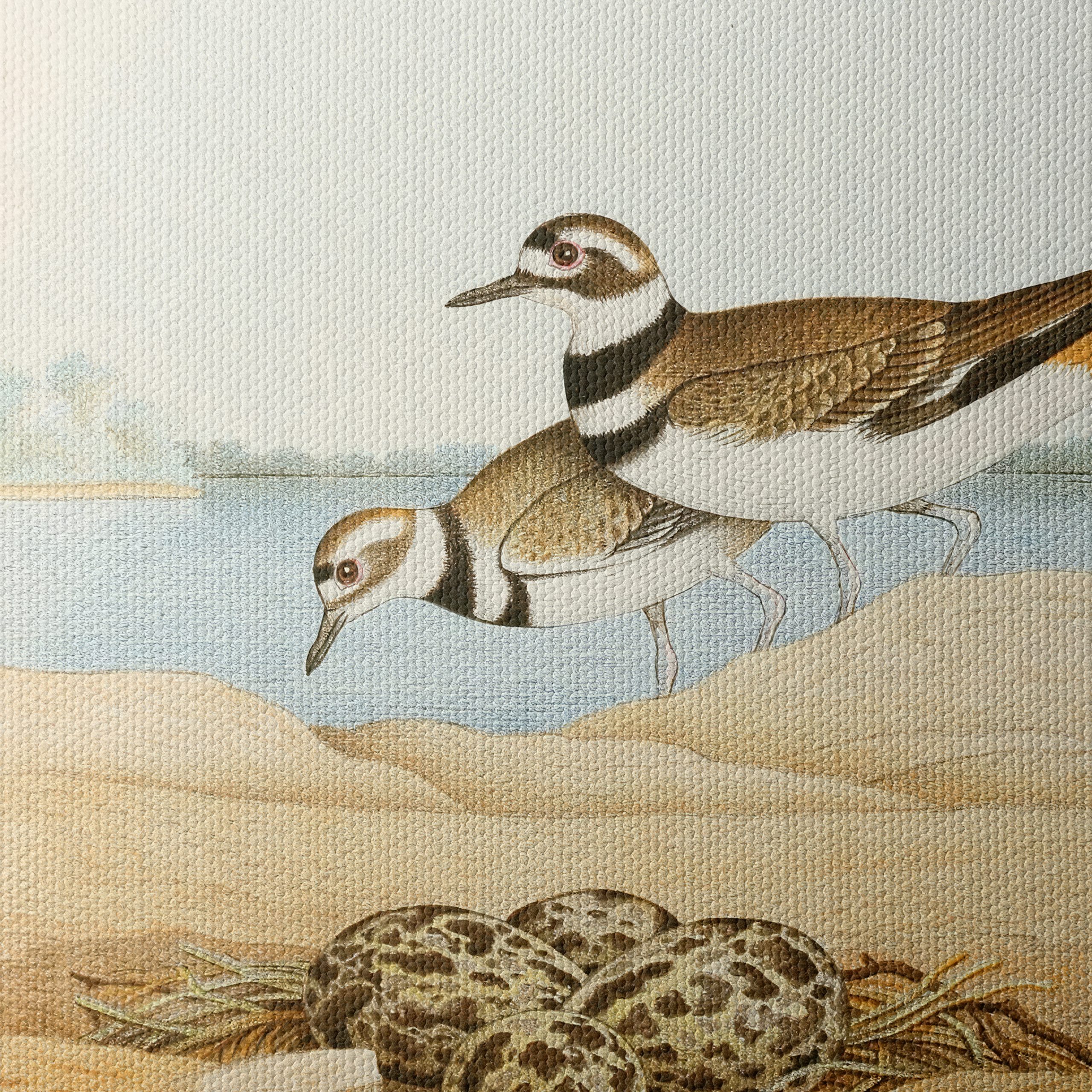 Killdeer Birds Nesting Art - Image 4