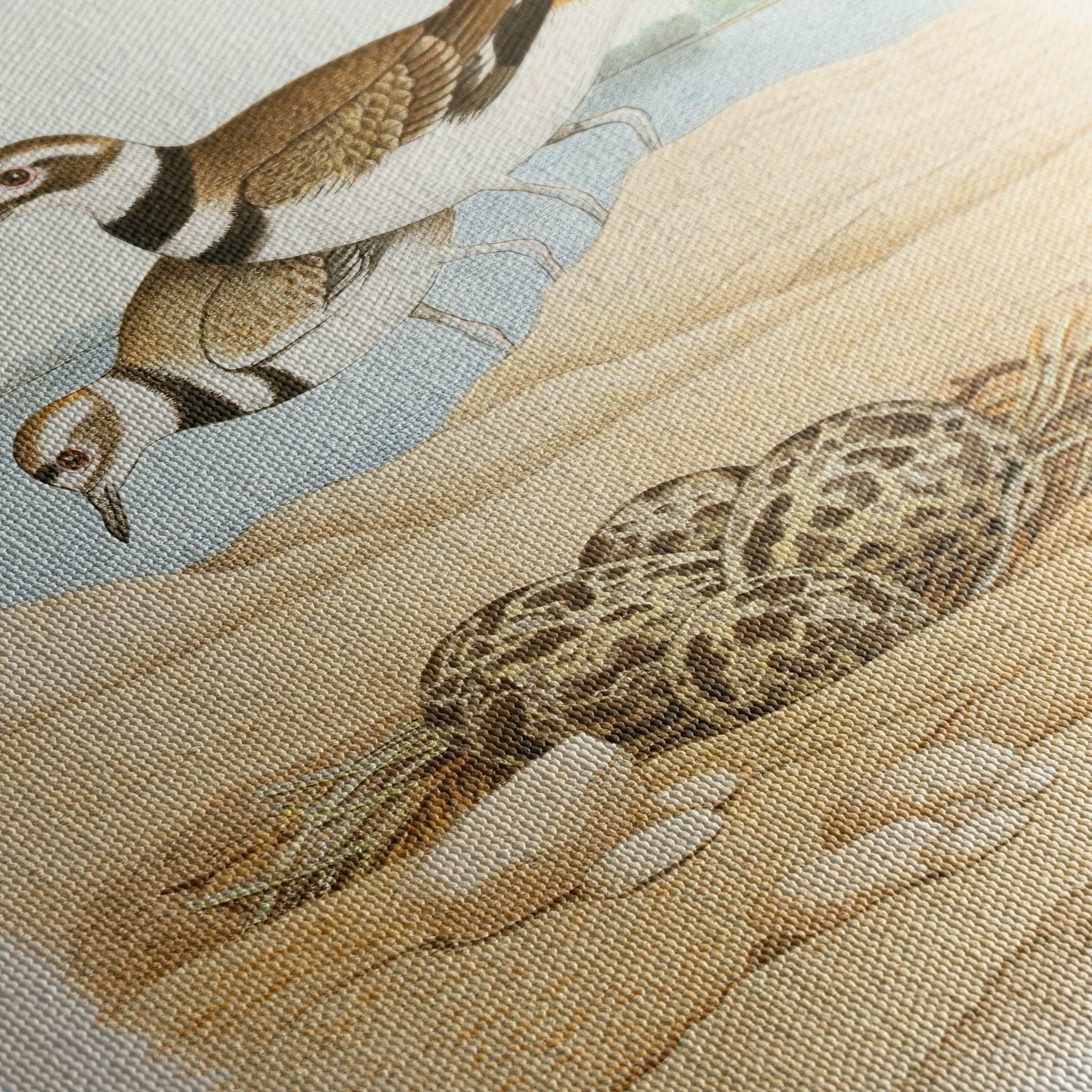 Killdeer Birds Nesting Art - Image 5
