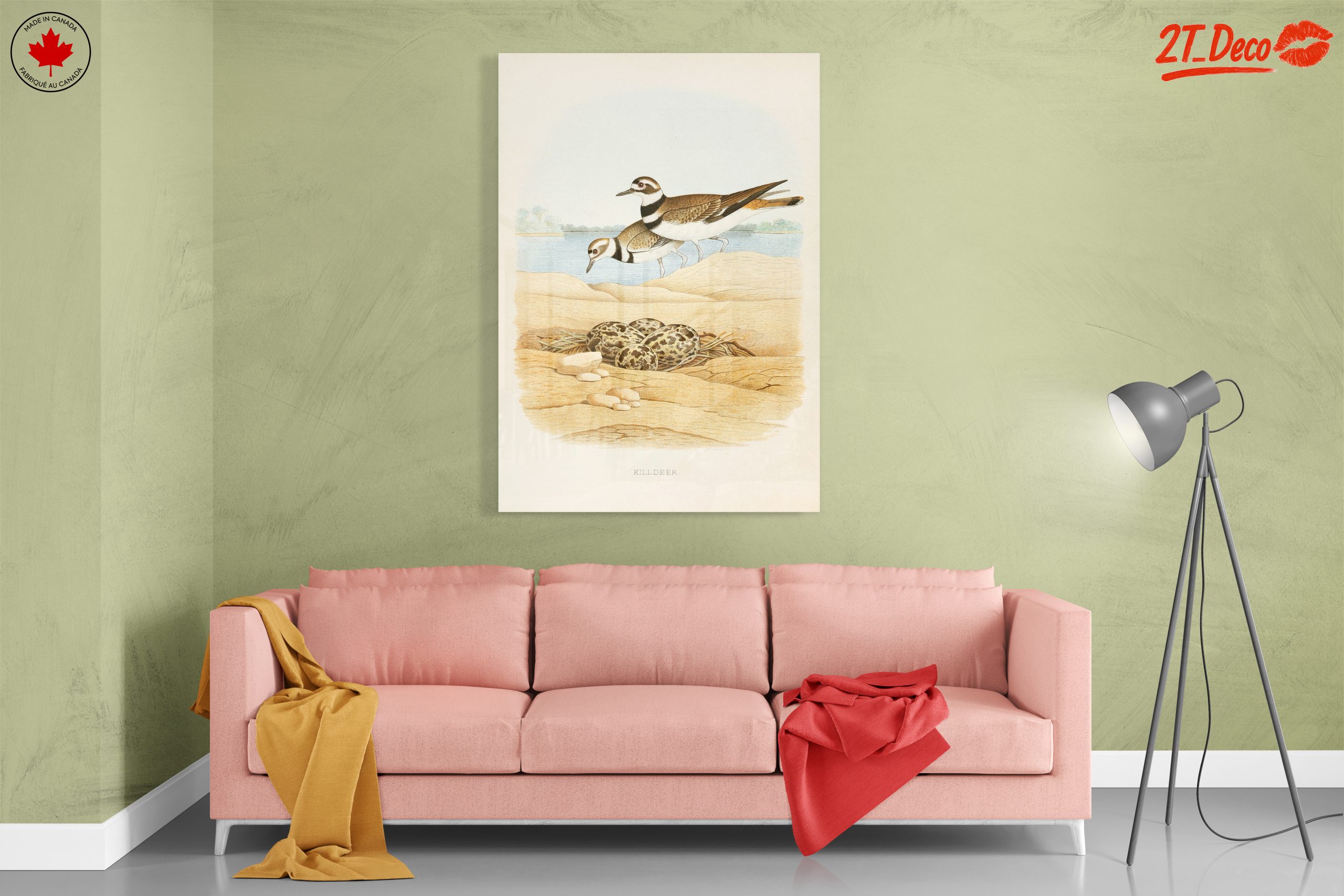 Killdeer Birds Nesting Art - Image 7