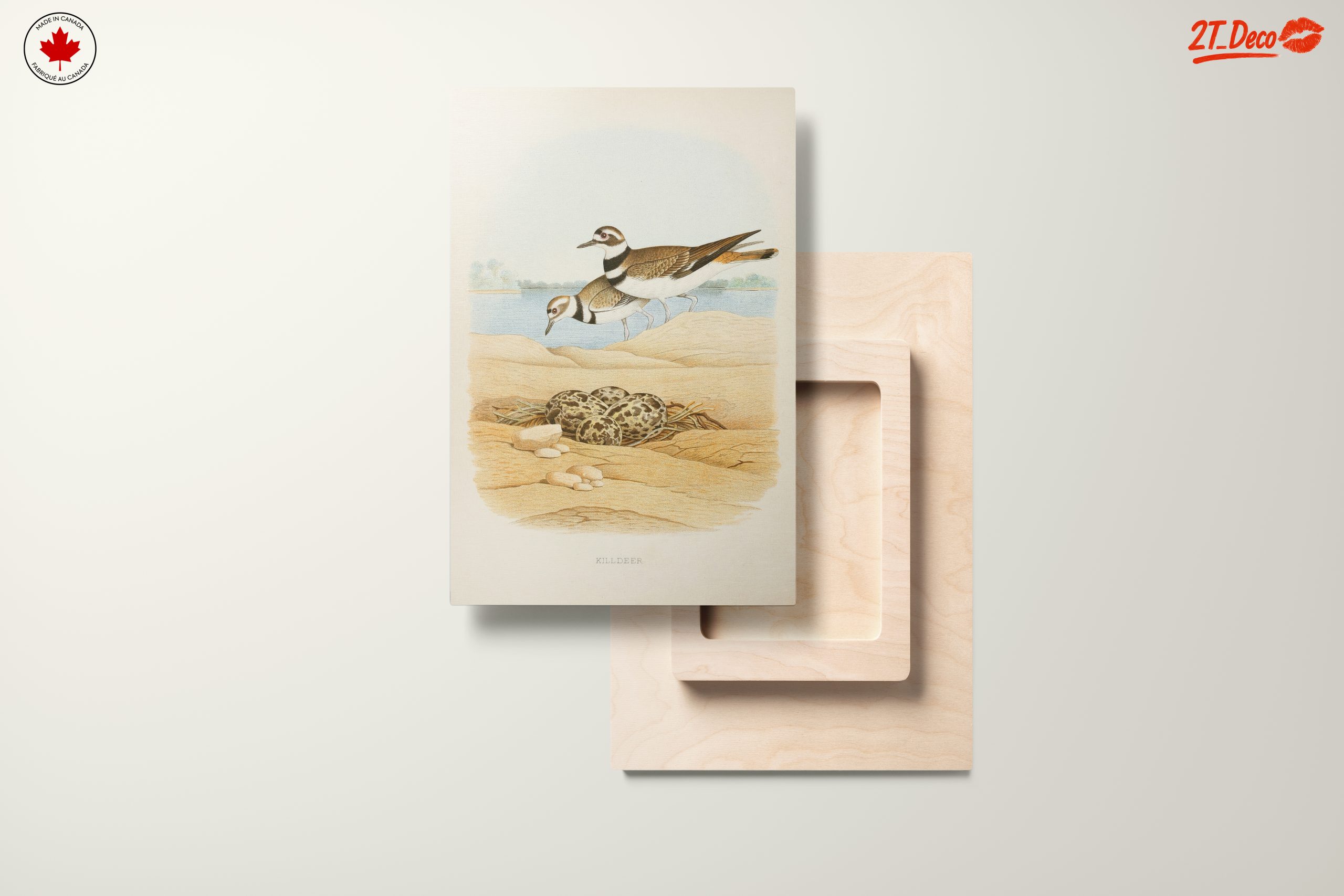 Killdeer Birds Nesting Art - Image 11