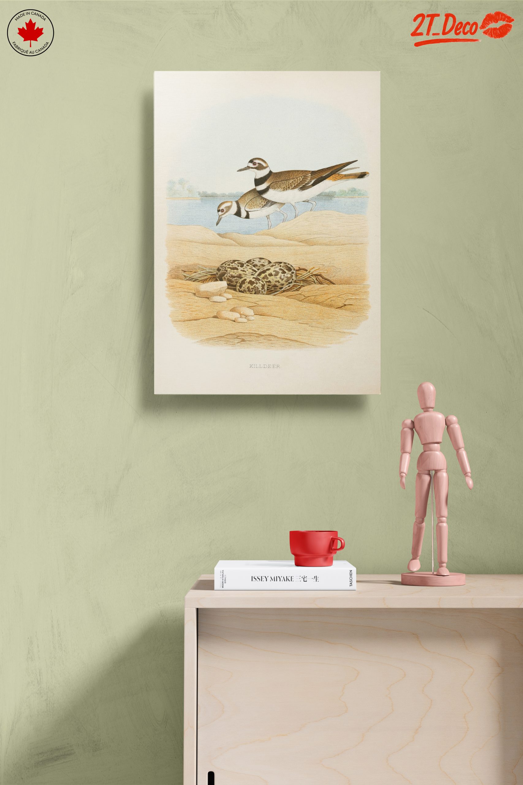 Killdeer Birds Nesting Art - Image 14