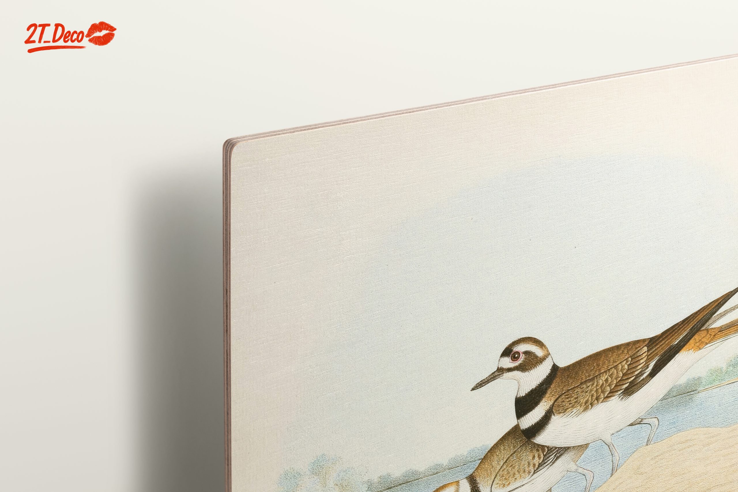 Killdeer Birds Nesting Art - Image 15