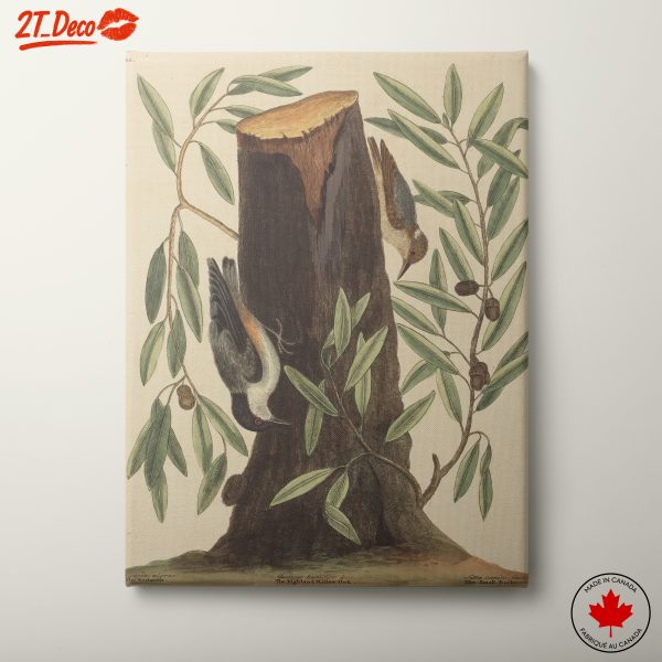 Two Birds on a Tree Stump