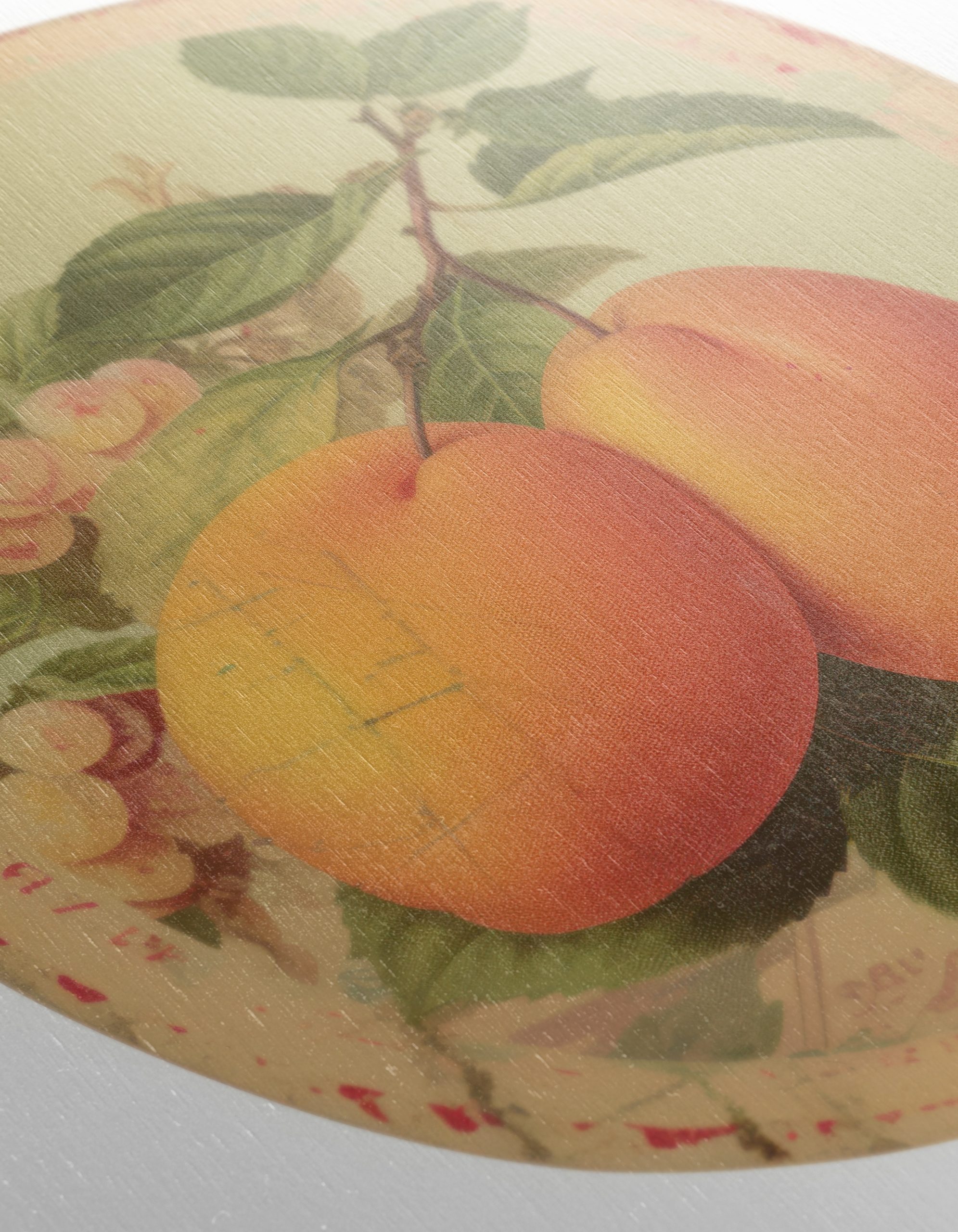 Elegant Abstract Fruit Still Life - Image 12