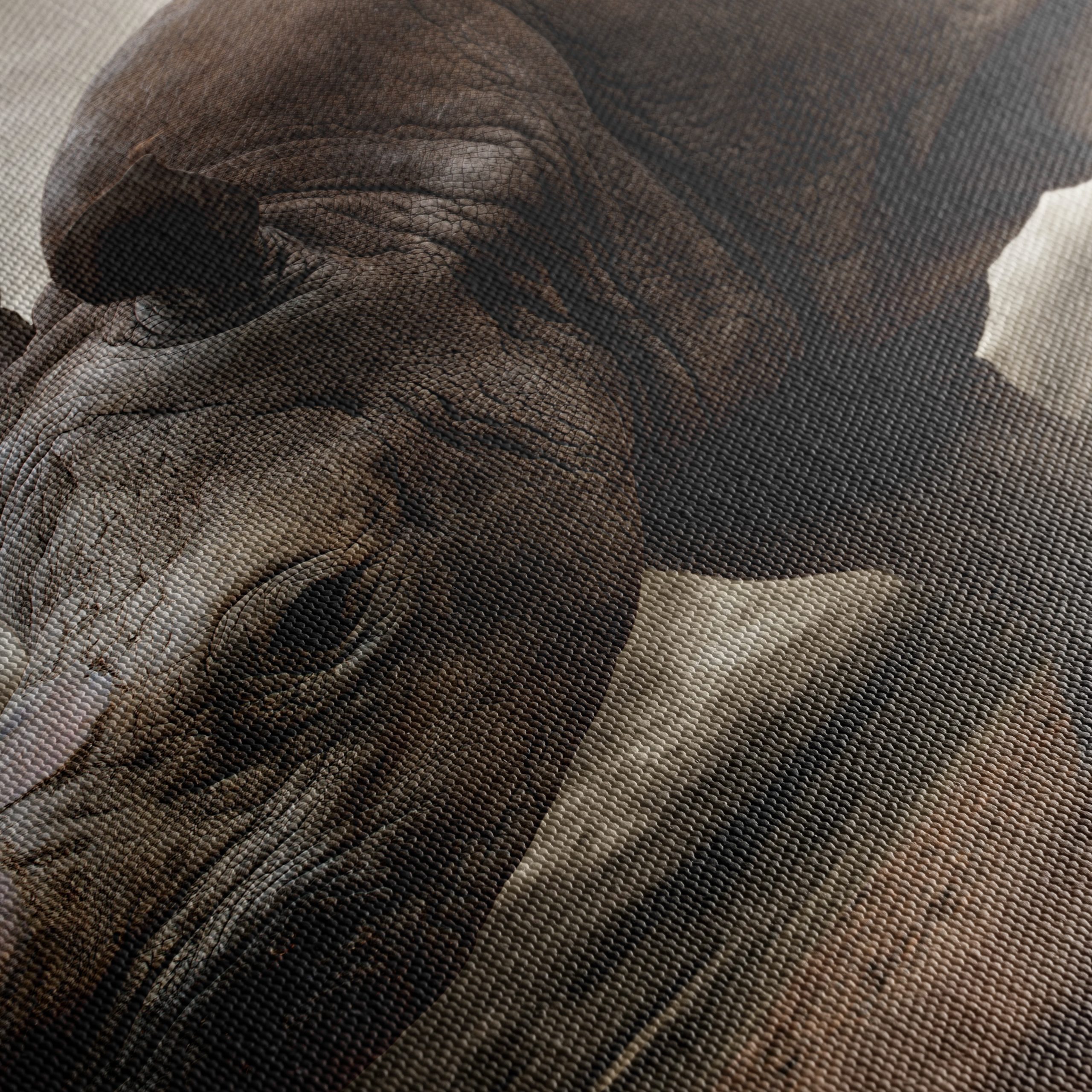 Majestic Rhinoceros in Dramatic Landscape 2 - Image 5