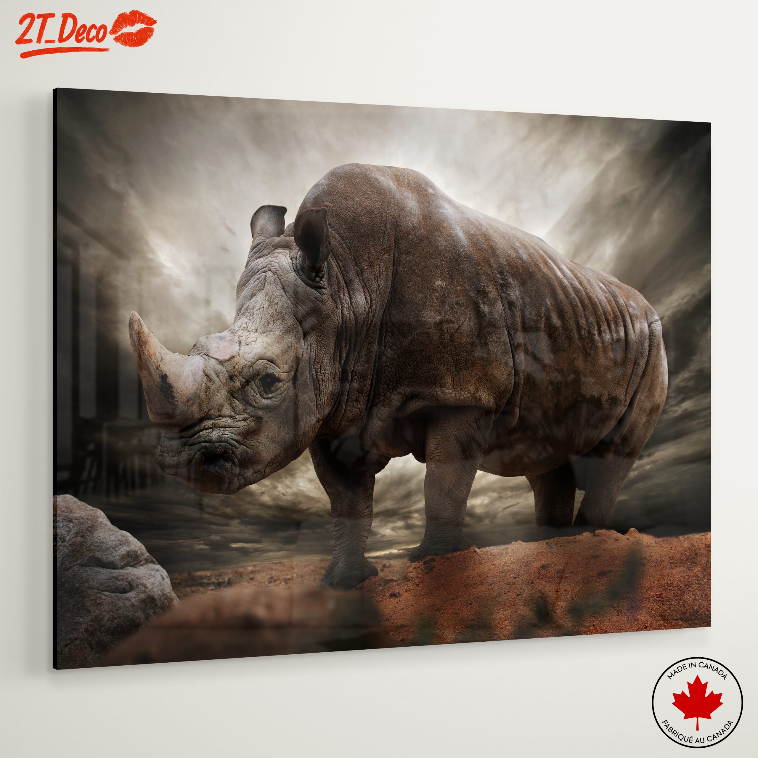 Majestic Rhinoceros in Dramatic Landscape 2 - Image 6