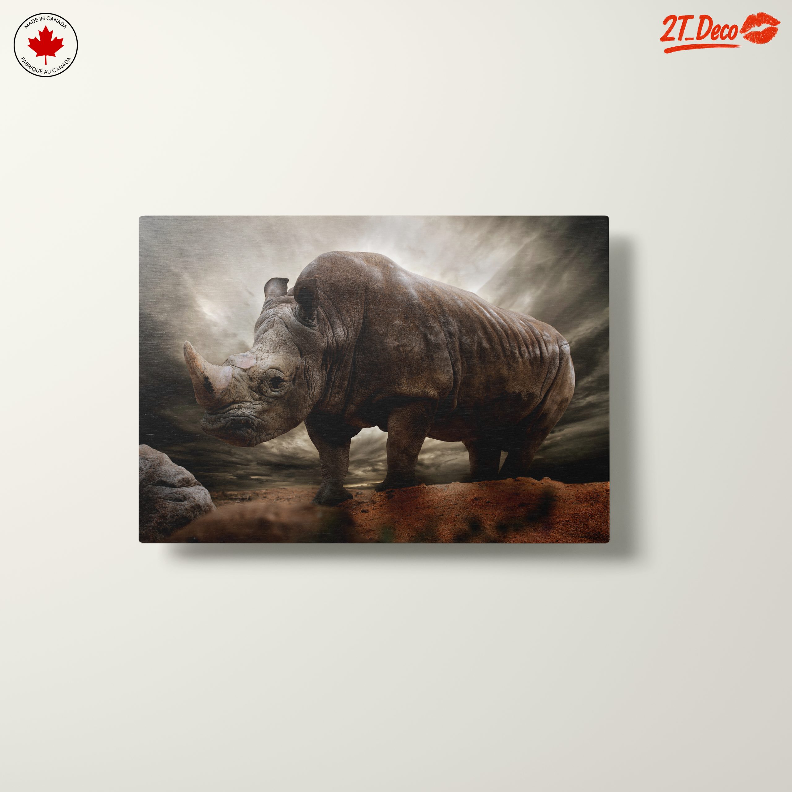 Majestic Rhinoceros in Dramatic Landscape 2 - Image 10