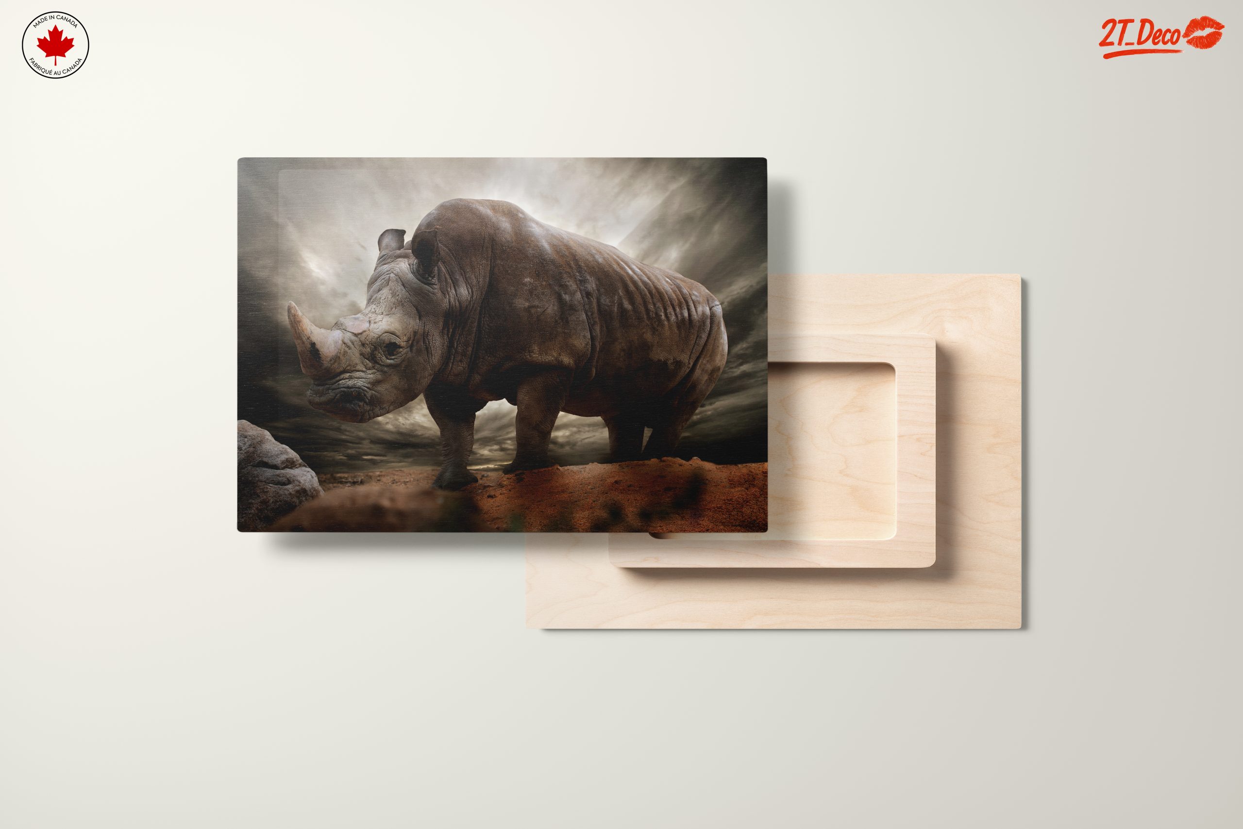 Majestic Rhinoceros in Dramatic Landscape 2 - Image 11