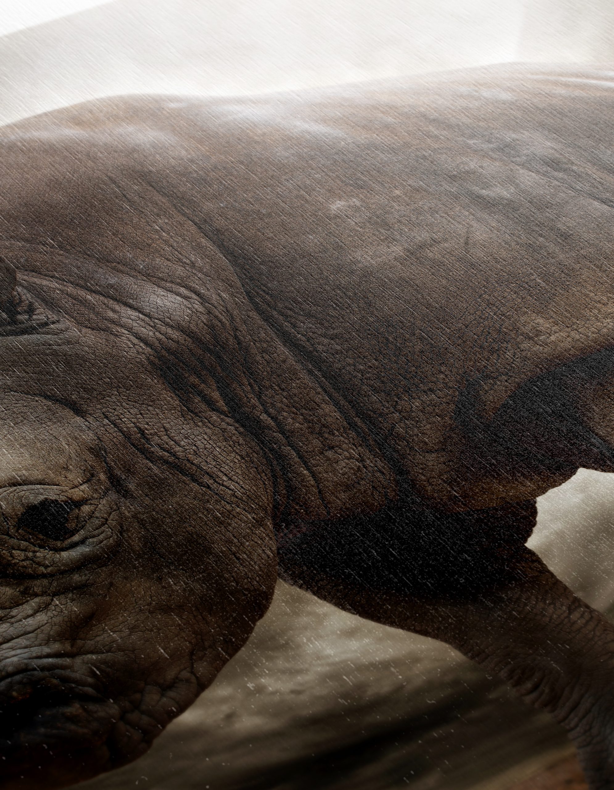 Majestic Rhinoceros in Dramatic Landscape 2 - Image 12