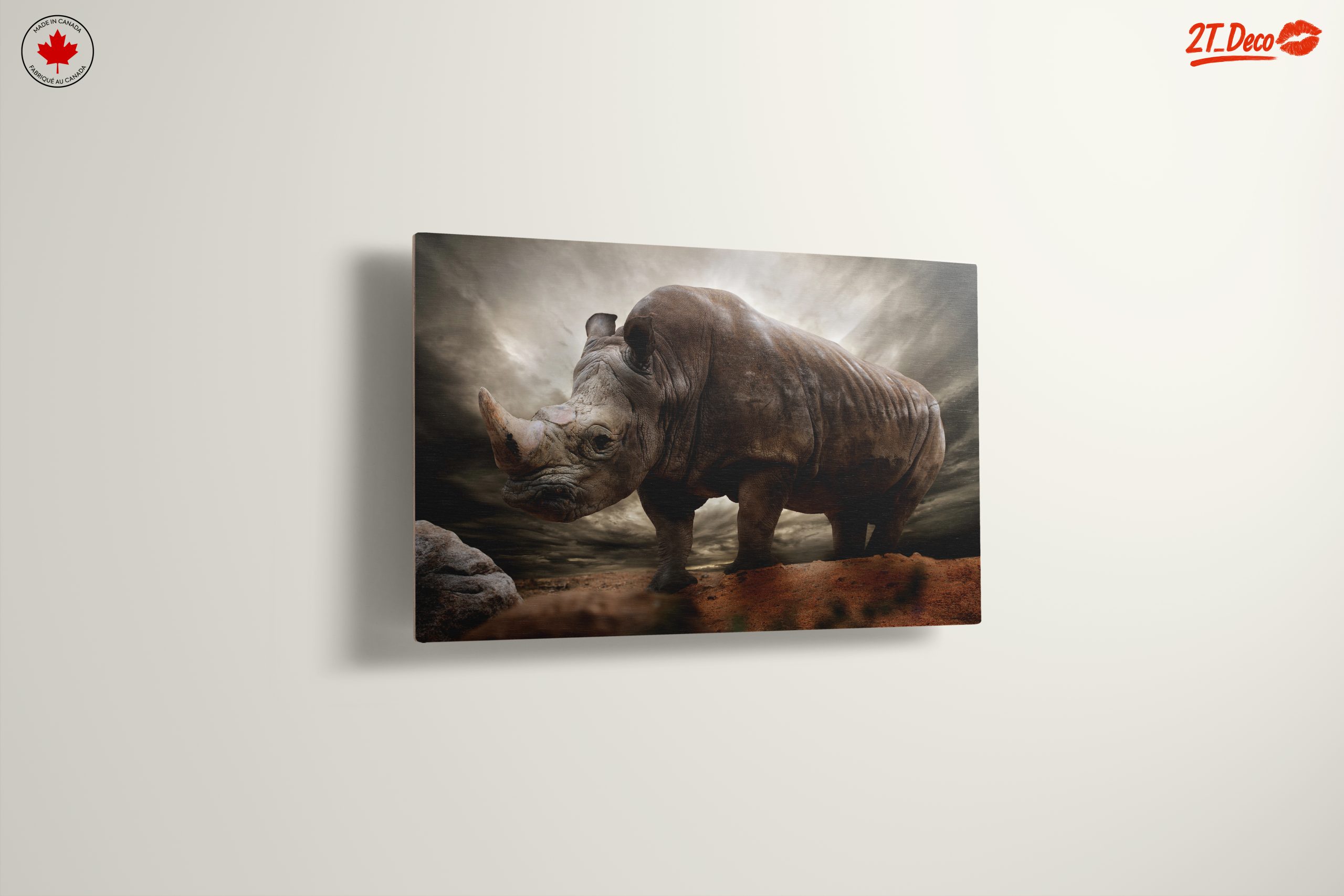 Majestic Rhinoceros in Dramatic Landscape 2 - Image 13
