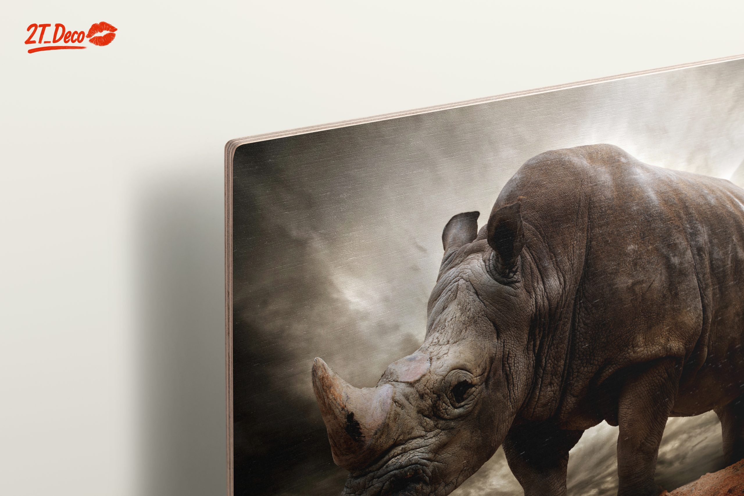 Majestic Rhinoceros in Dramatic Landscape 2 - Image 15