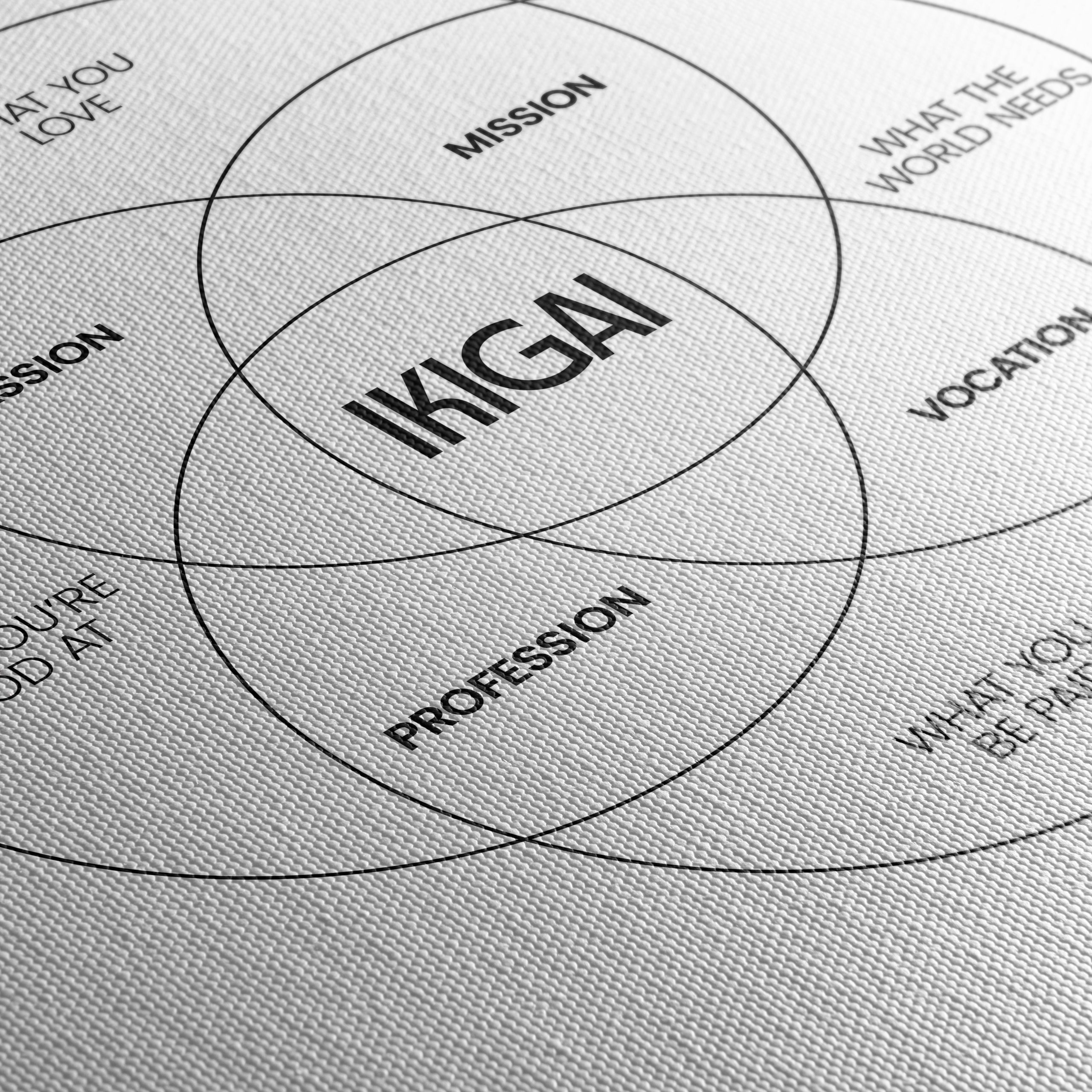 Find Your Purpose with Ikigai Chart Art - Image 5