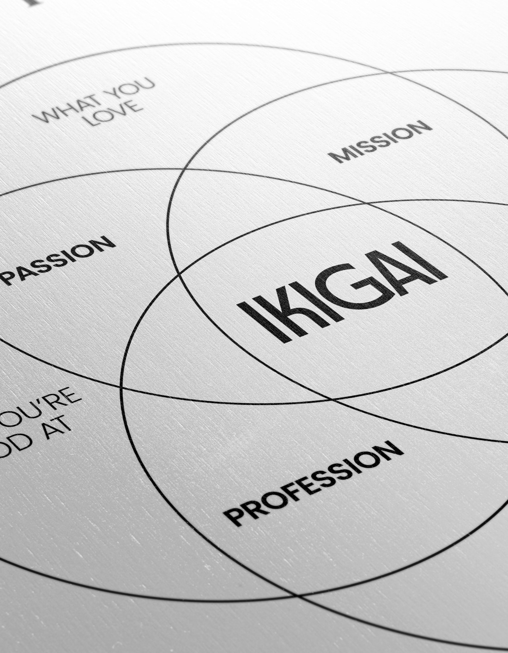 Find Your Purpose with Ikigai Chart Art - Image 12
