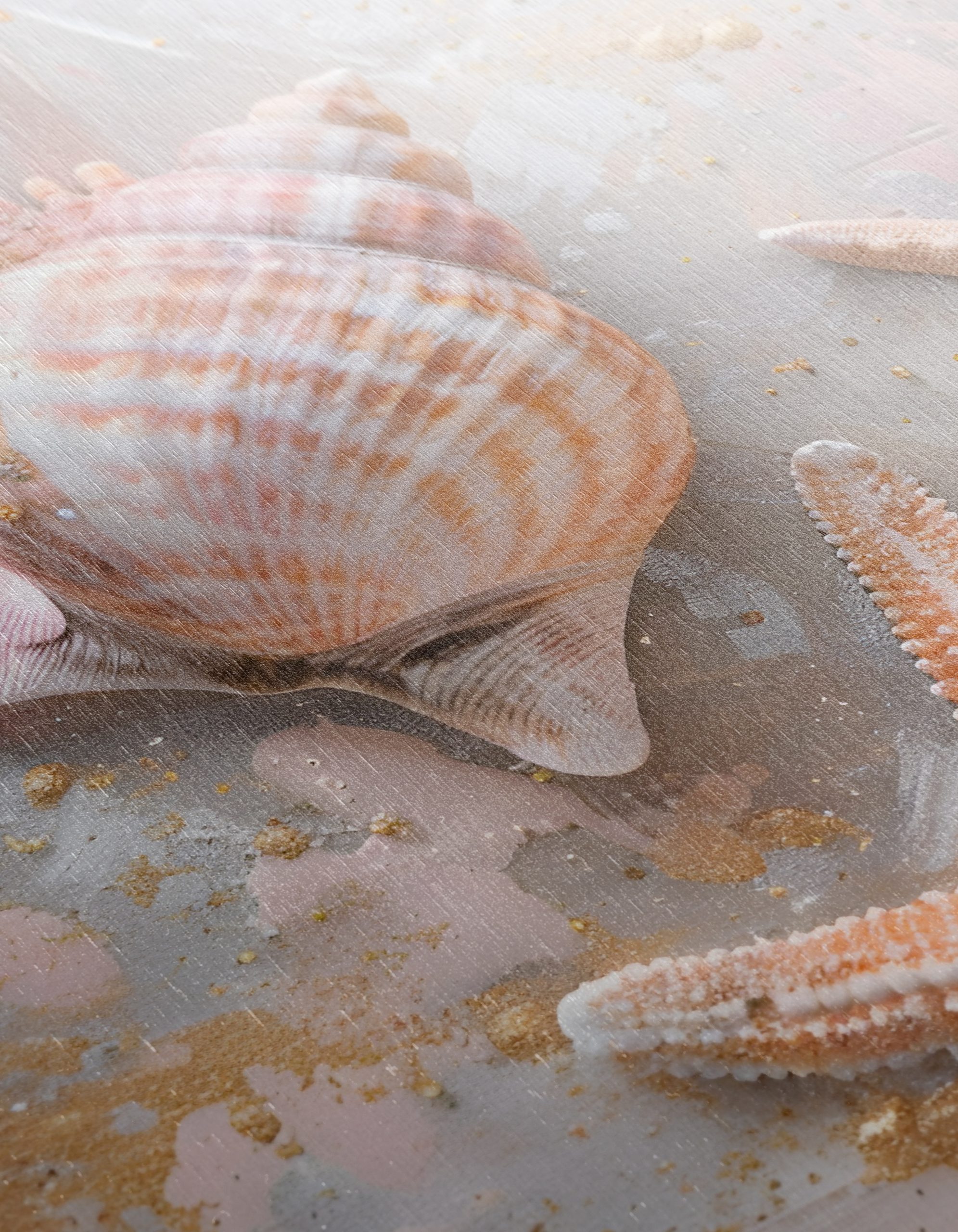Elegant Shells and Starfish Art - Image 12
