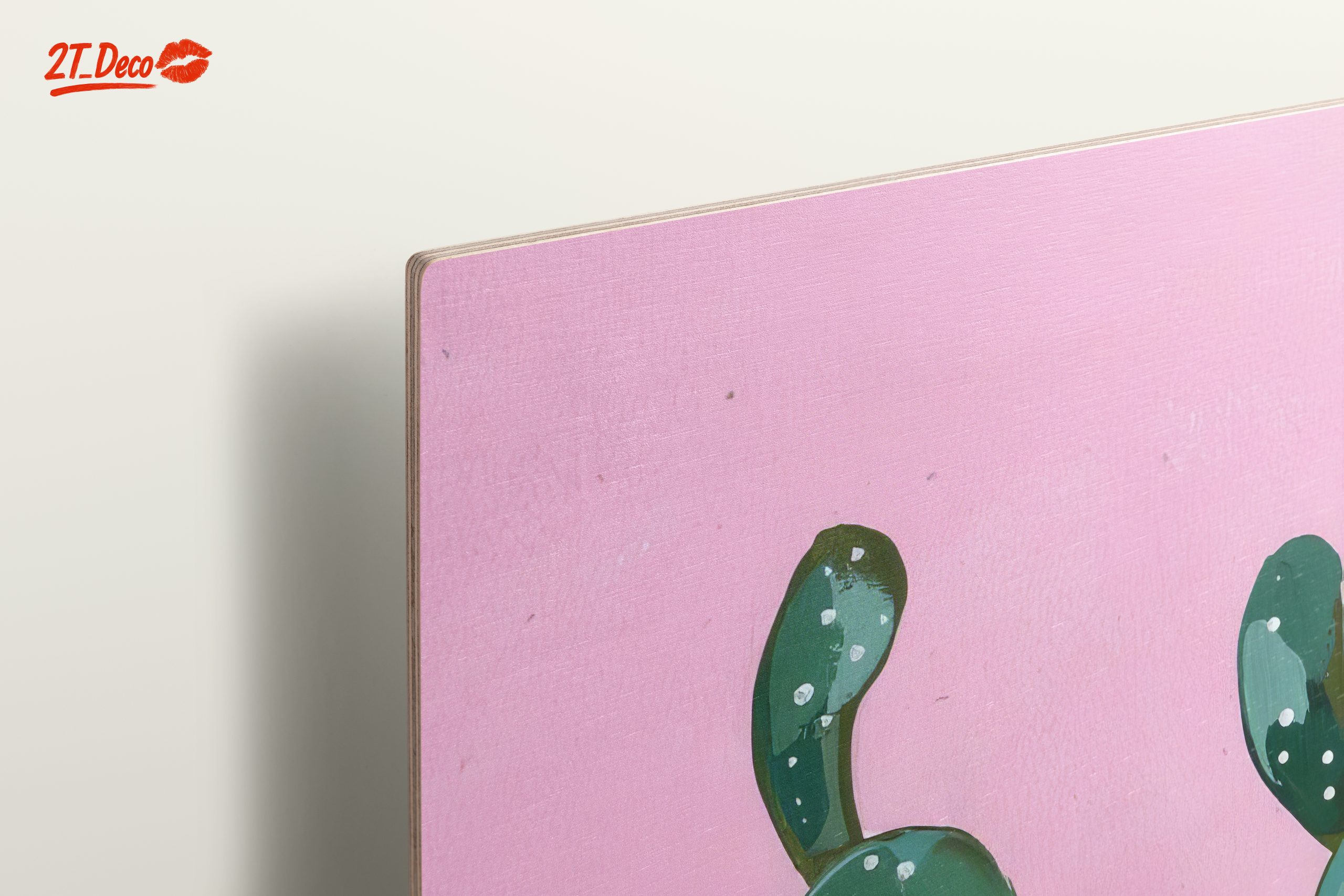Vibrant Cactus in Pink Background - Image 15