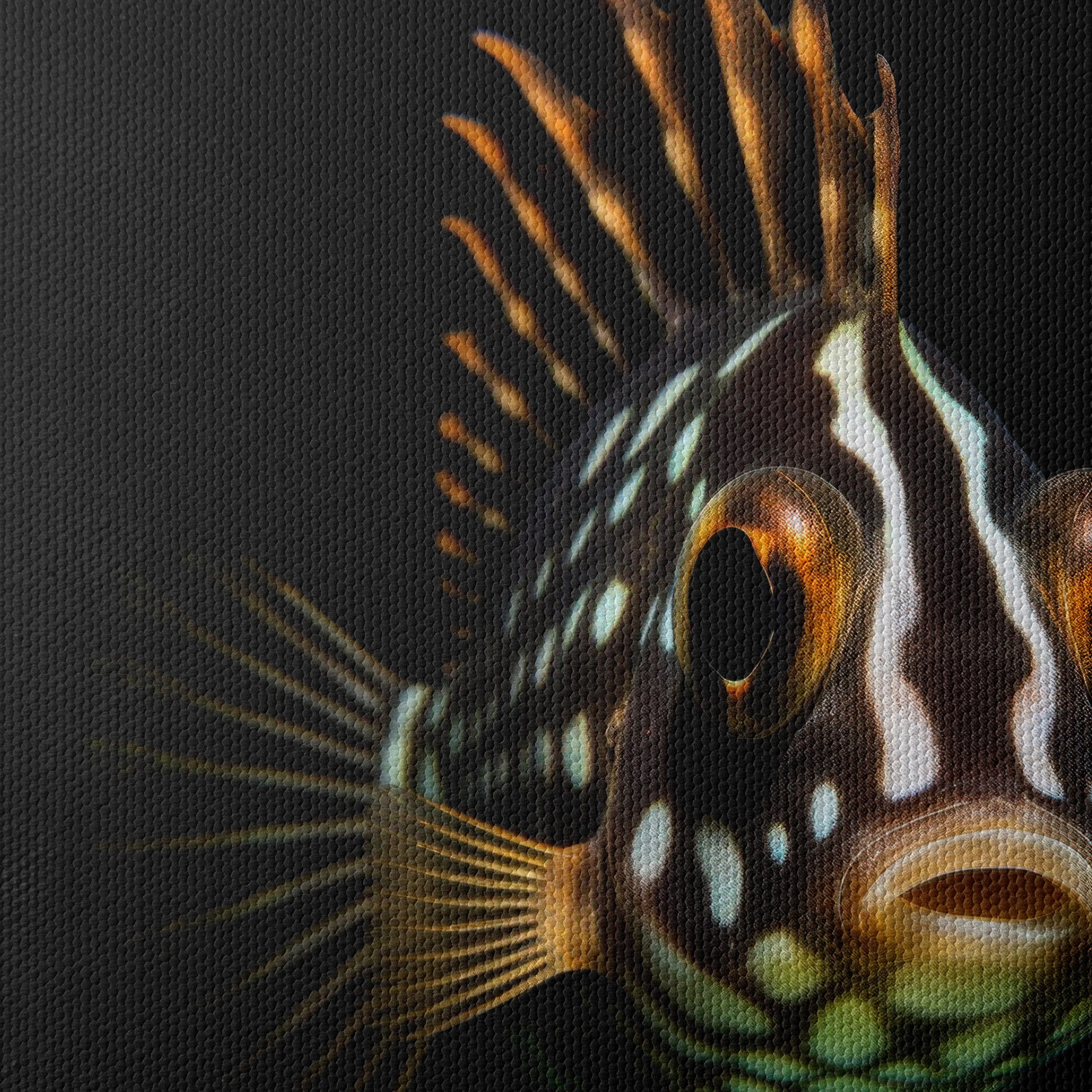 Stunning Aquatic Animal Featuring Fish - Image 4