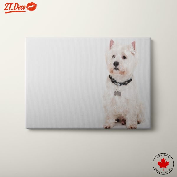 Charming Dog Portrait