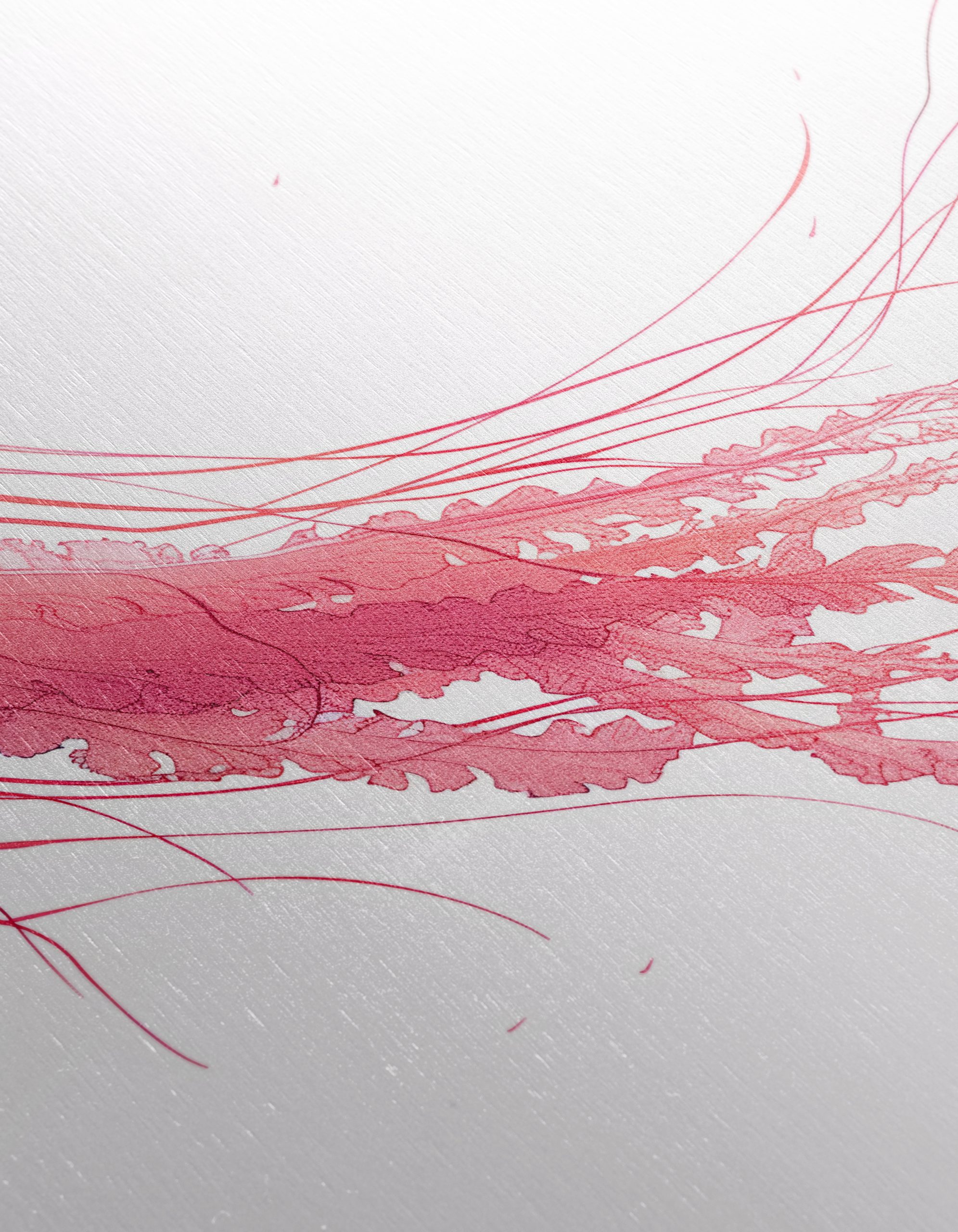 Stylized Jellyfish Abstract Art 2 - Image 12
