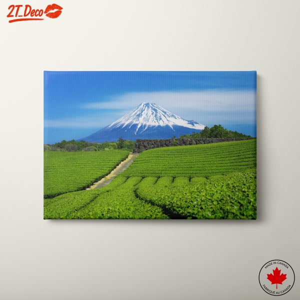 Mount Fuji and Lush Tea Fields Landscape