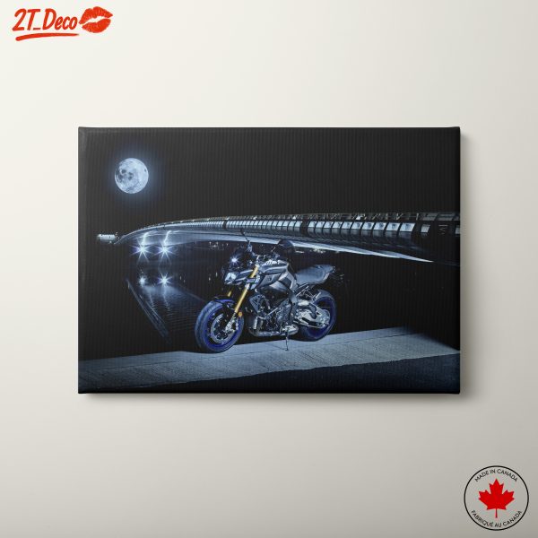 Stunning Motorcycle Under Full Moon