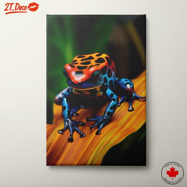 Colorful Frog on Vibrant Leaf