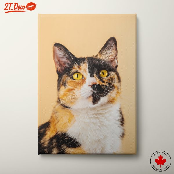 Calico Cat Portrait on Yellow Background