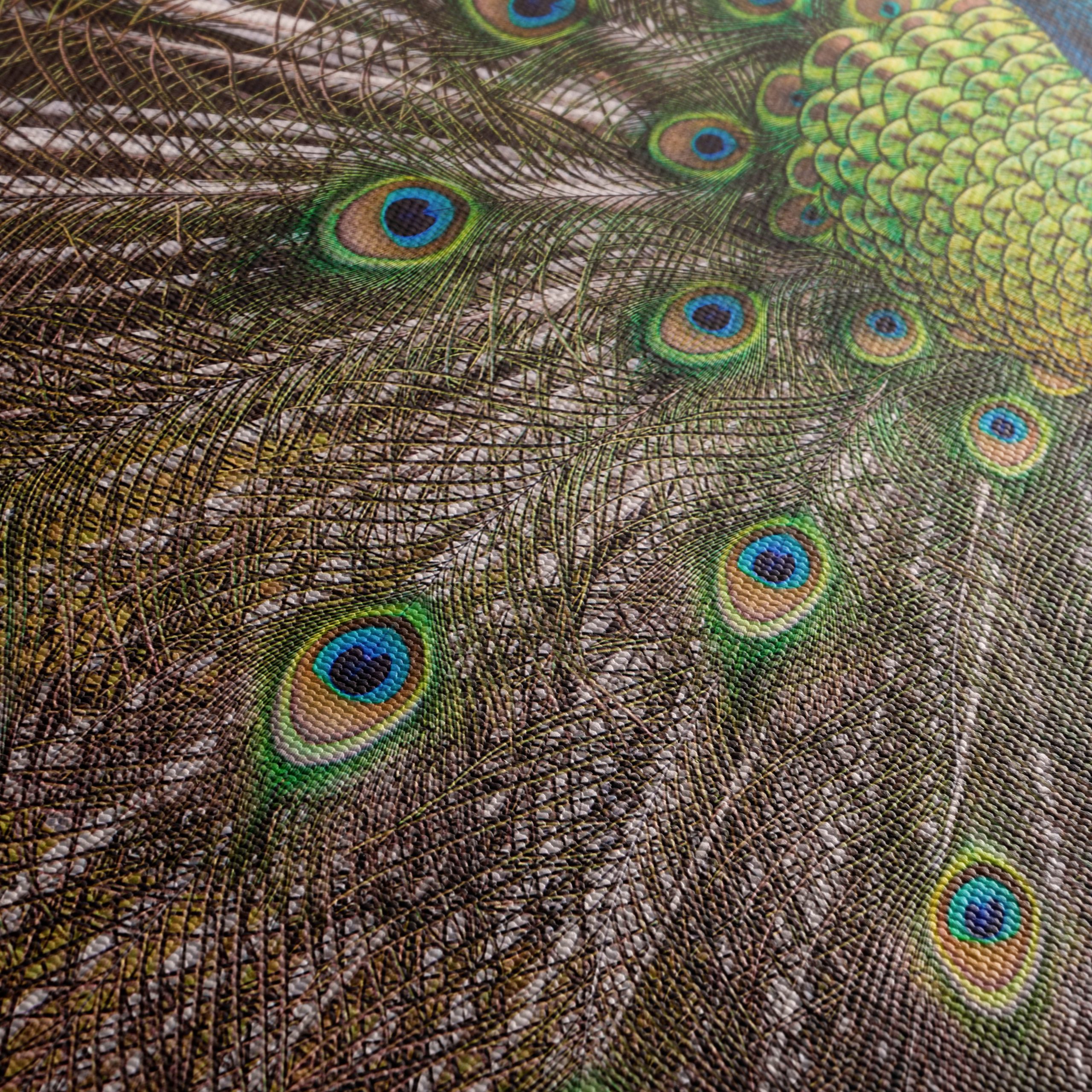 Stunning Peacock with Colorful Feathers - Image 5