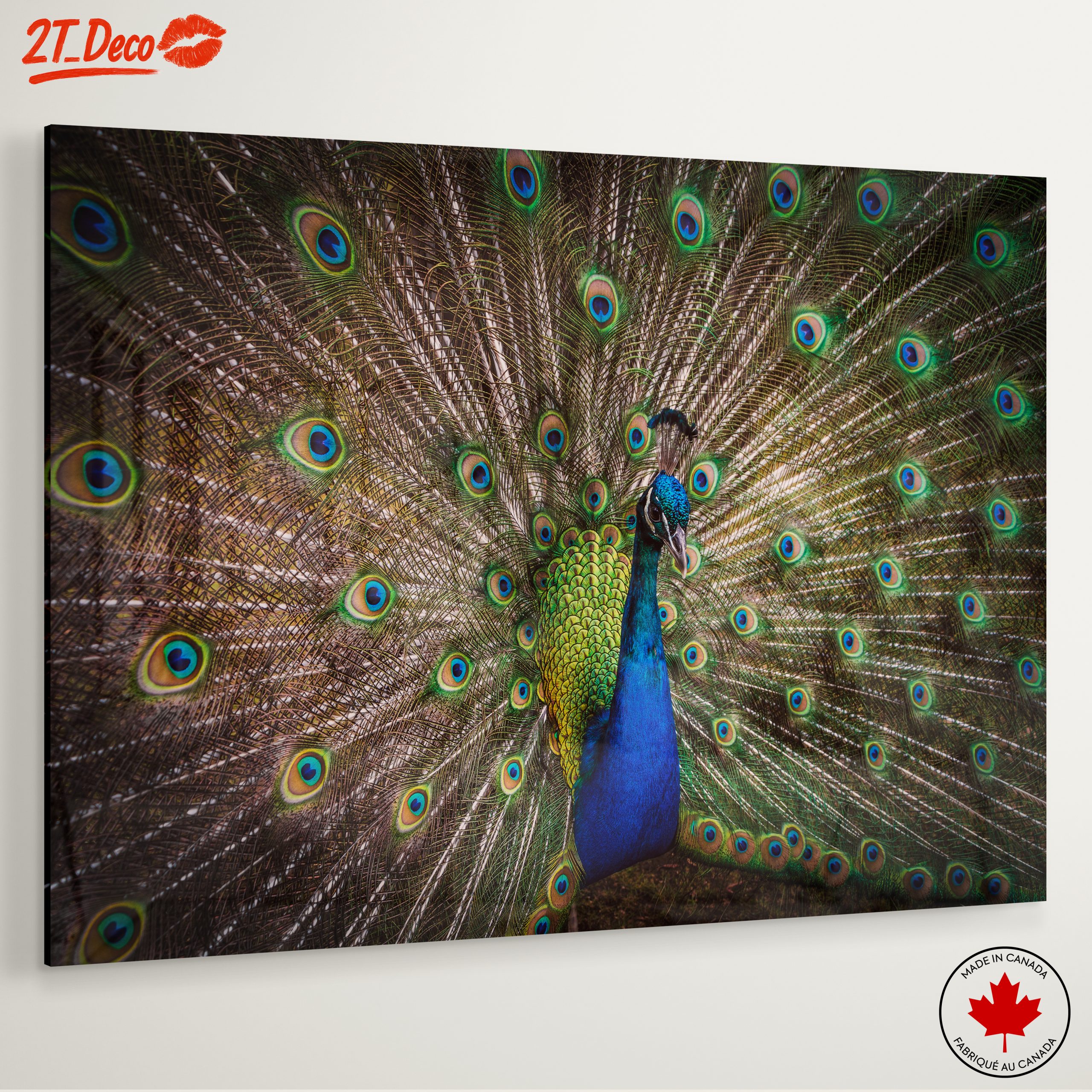 Stunning Peacock with Colorful Feathers - Image 6