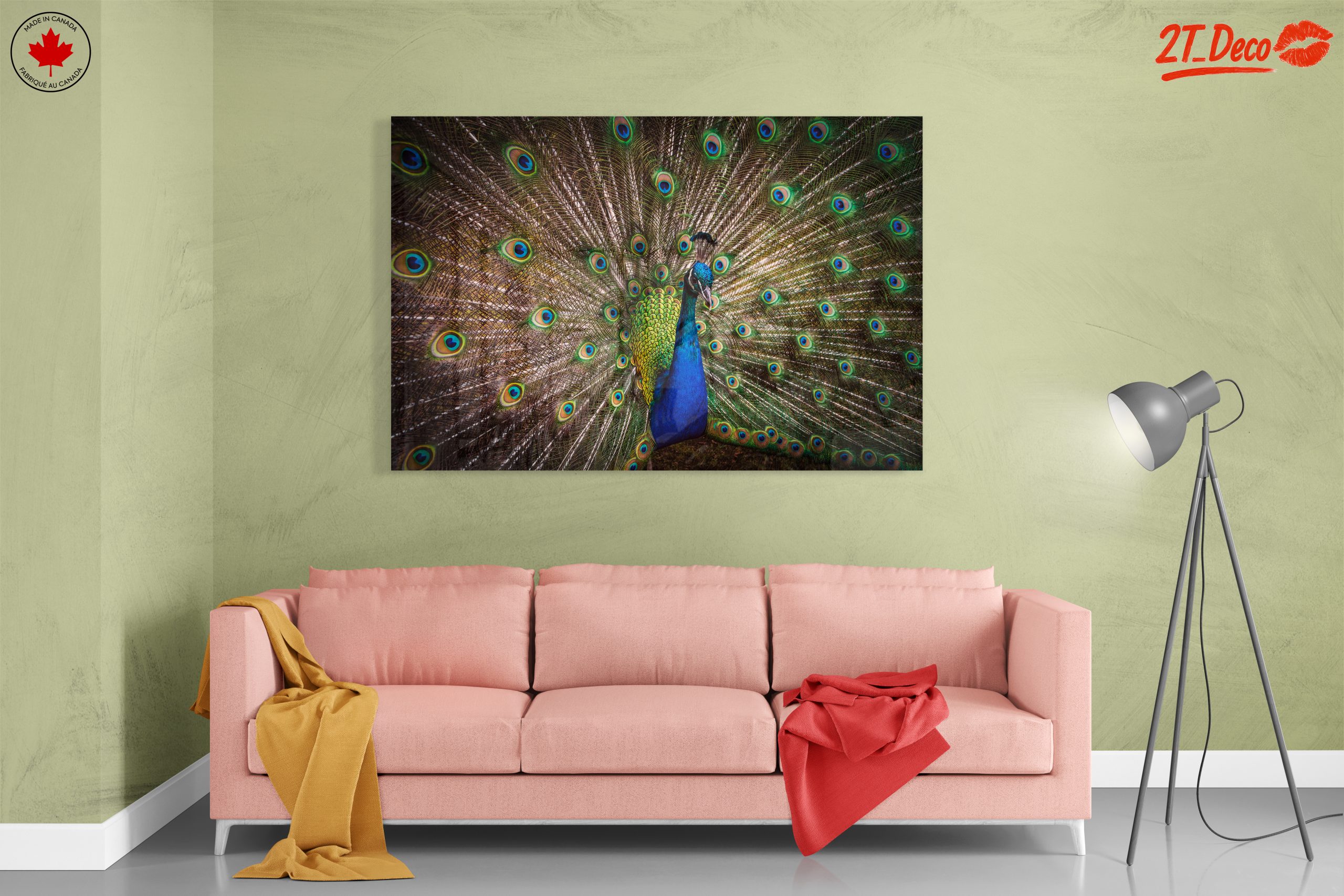 Stunning Peacock with Colorful Feathers - Image 7