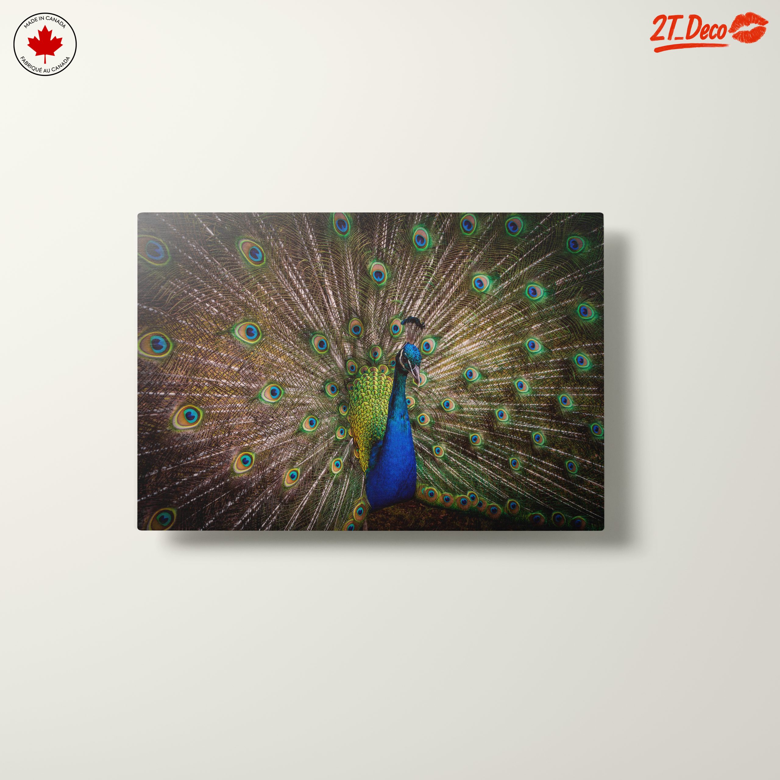 Stunning Peacock with Colorful Feathers - Image 10