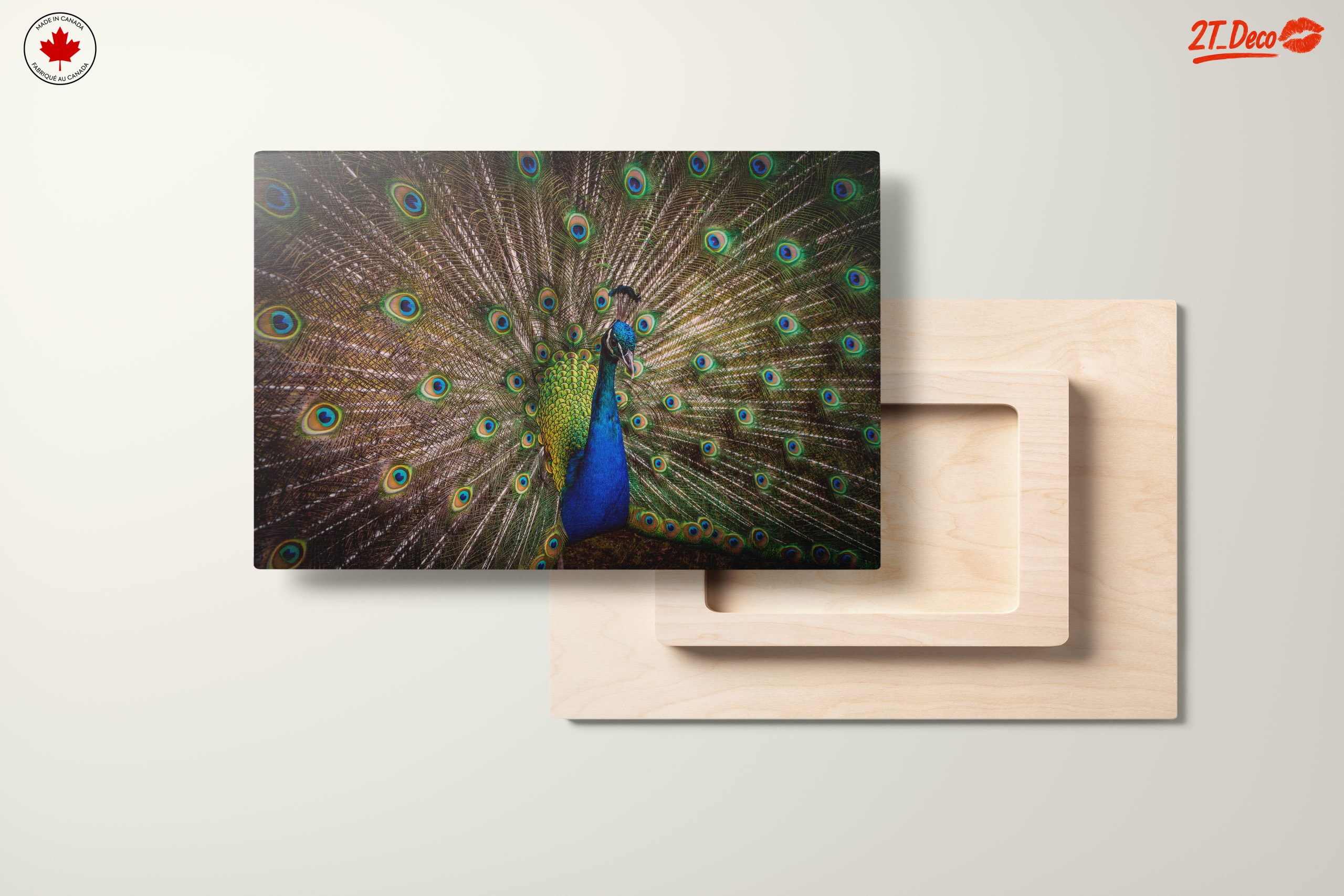 Stunning Peacock with Colorful Feathers - Image 11