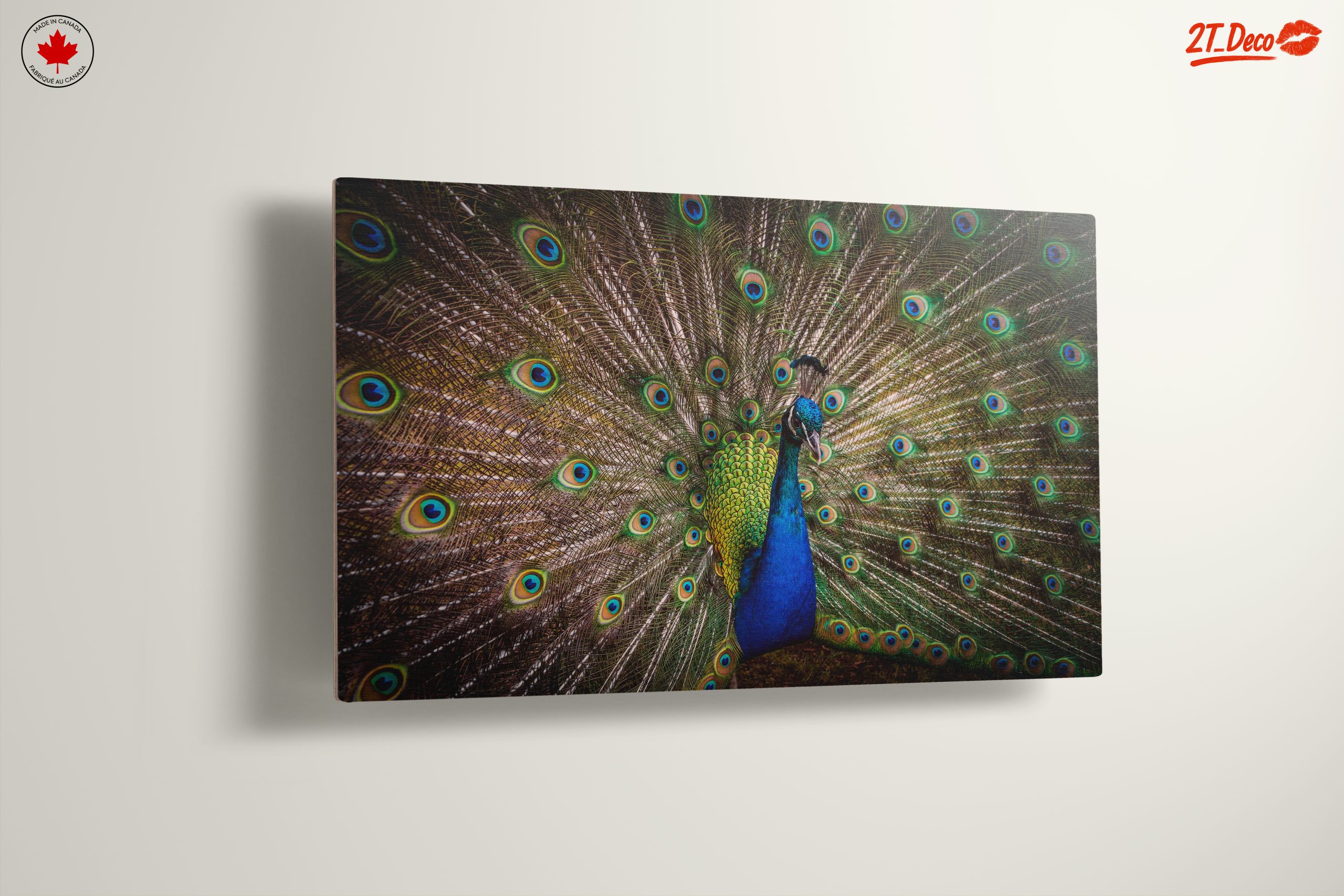 Stunning Peacock with Colorful Feathers - Image 13