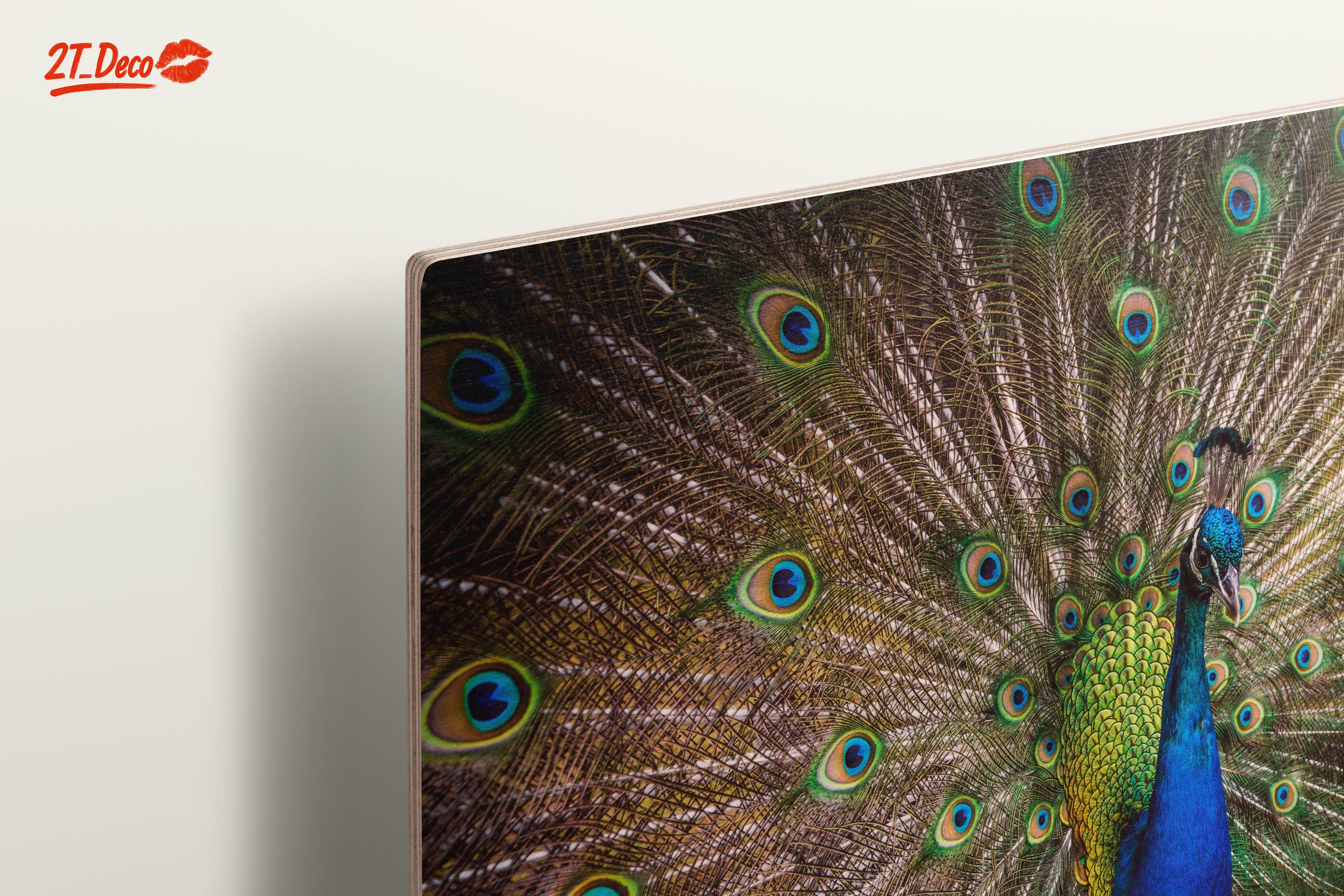 Stunning Peacock with Colorful Feathers - Image 15