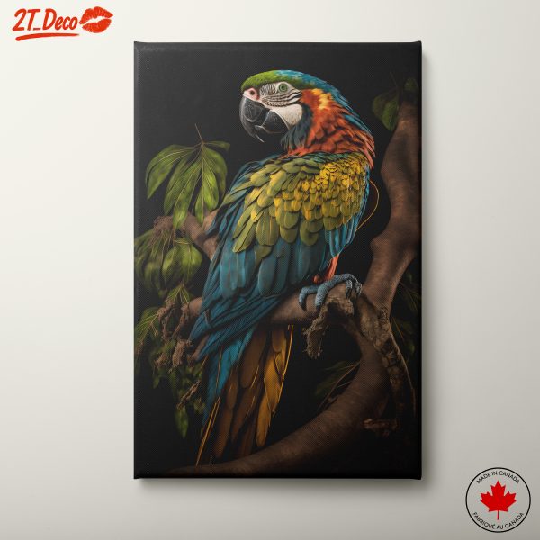 Colorful Parrot Wall Art 4