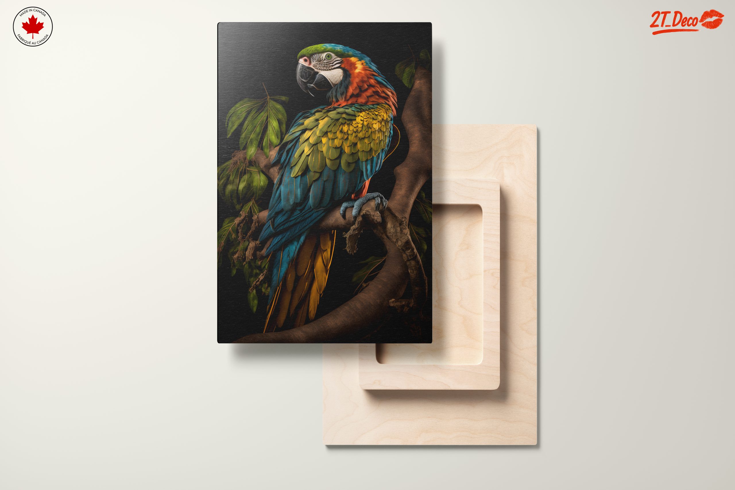 Colorful Parrot Wall Art 4 - Image 11
