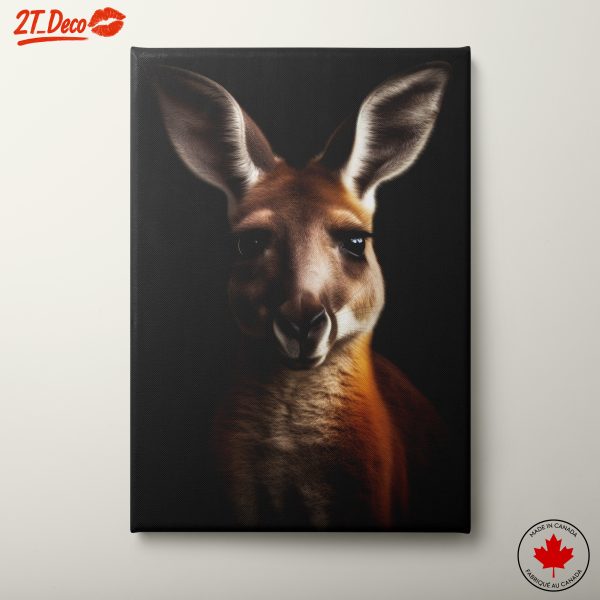Kangaroo Artistic Representation