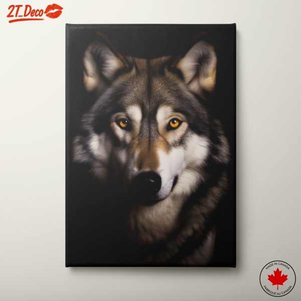 Wolf Portrait with Captivating Eyes