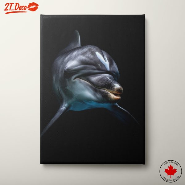 Stunning Dolphin Wall Art