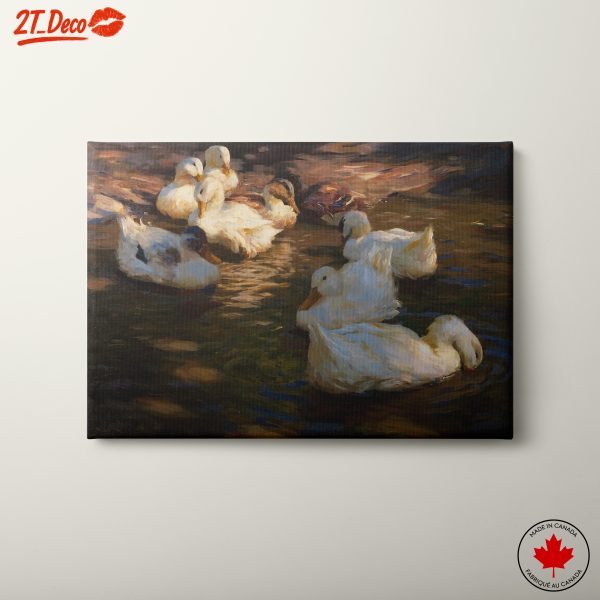 Serene Ducks Swimming in Water