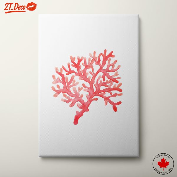 Red Coral Botanical Art