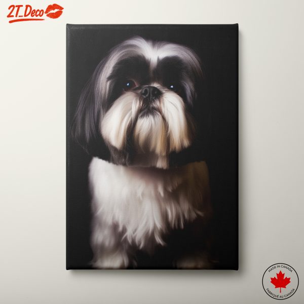 Portrait of a Shih Tzu Dog