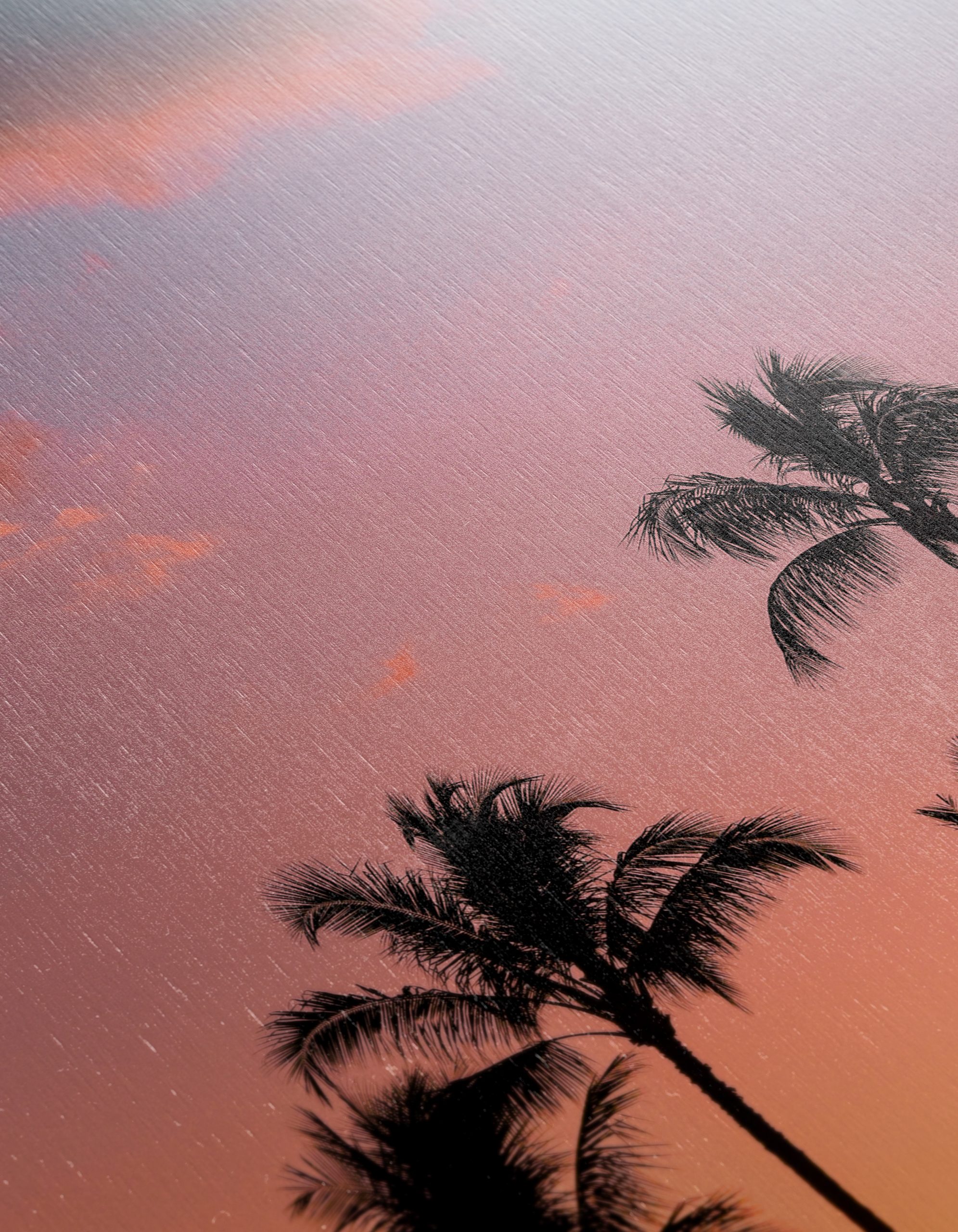 Tropical Sunset with Palm Trees - Image 12