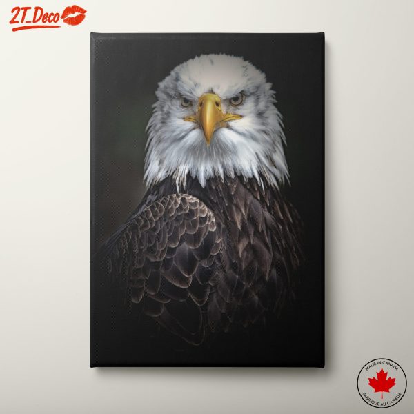 Majestic Bald Eagle Portrait 2
