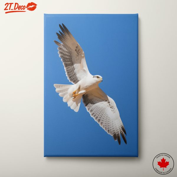 Majestic Eagle in Flight Wall Art 3
