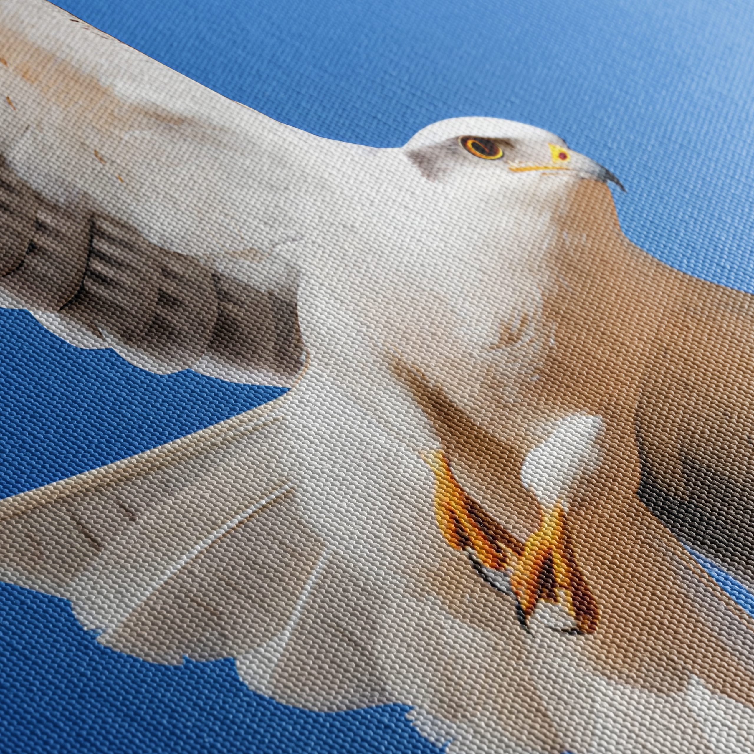 Majestic Eagle in Flight Wall Art 3 - Image 5