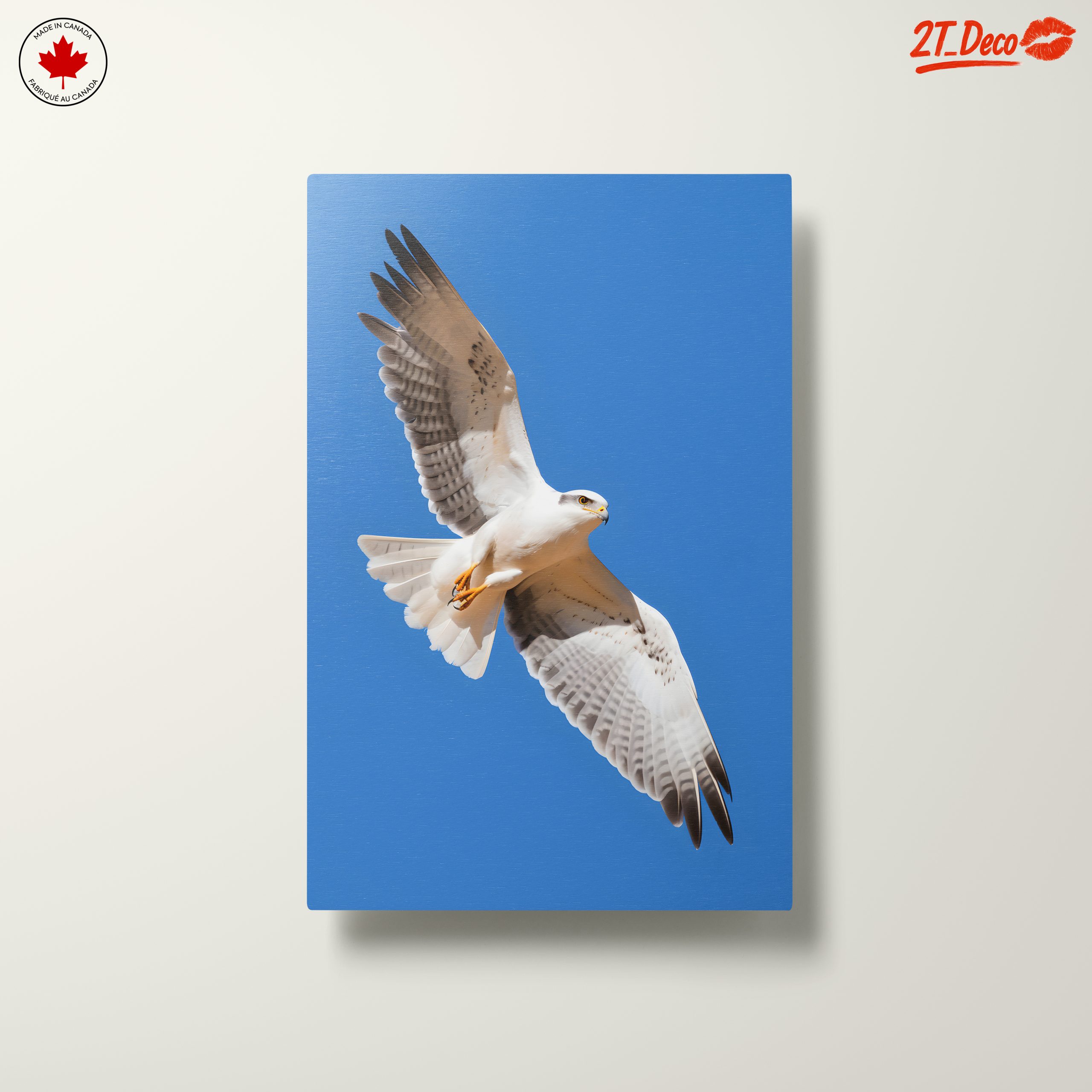 Majestic Eagle in Flight Wall Art 3 - Image 10