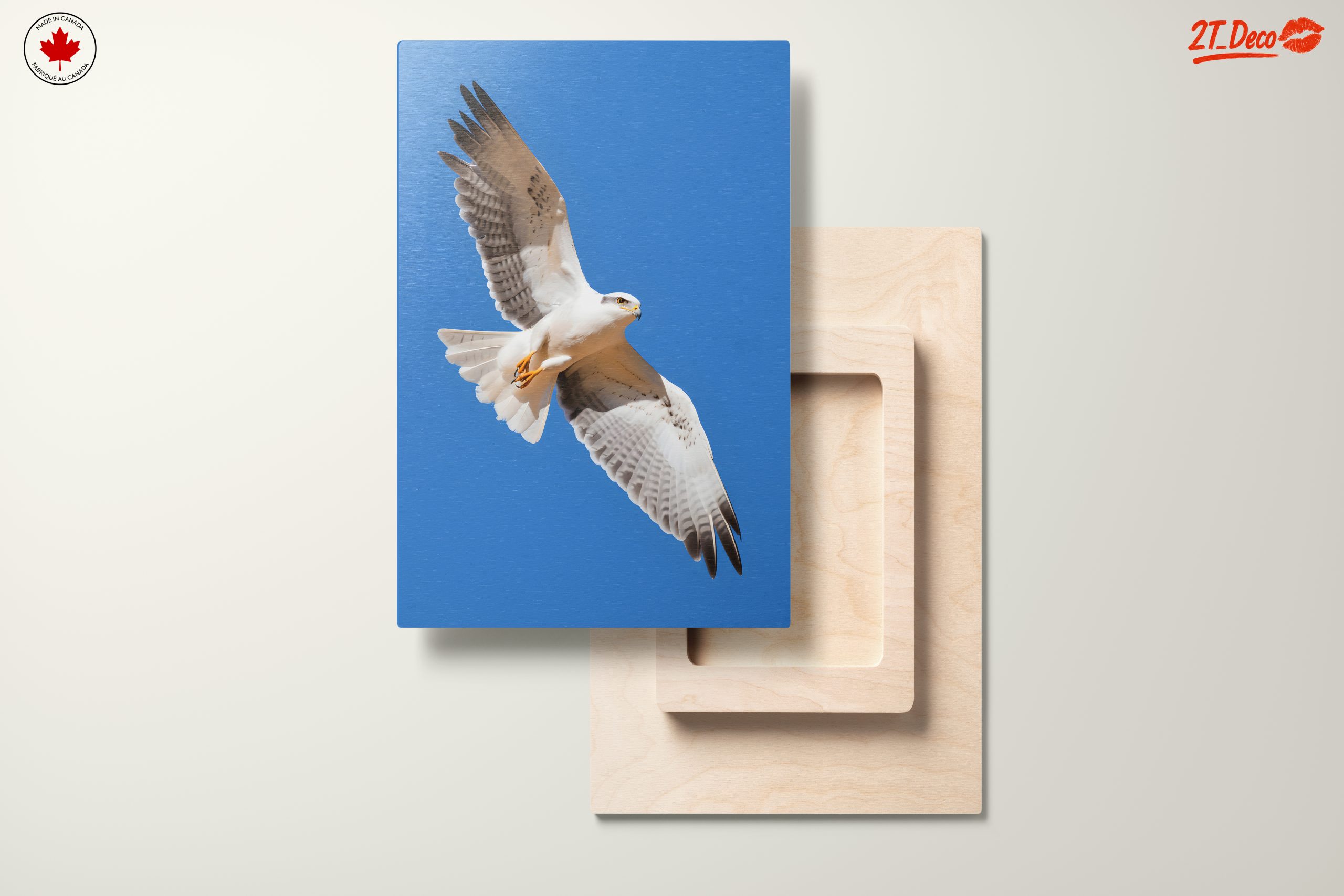 Majestic Eagle in Flight Wall Art 3 - Image 11