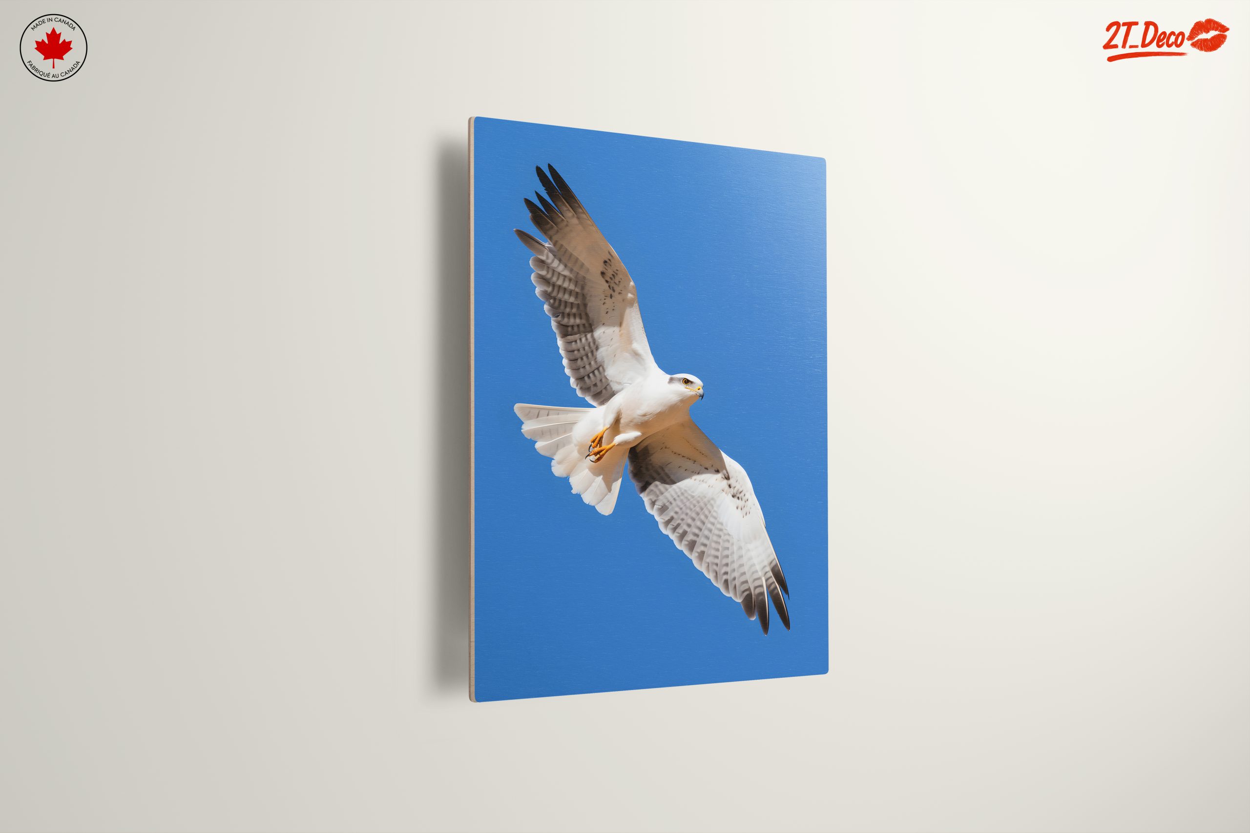 Majestic Eagle in Flight Wall Art 3 - Image 13